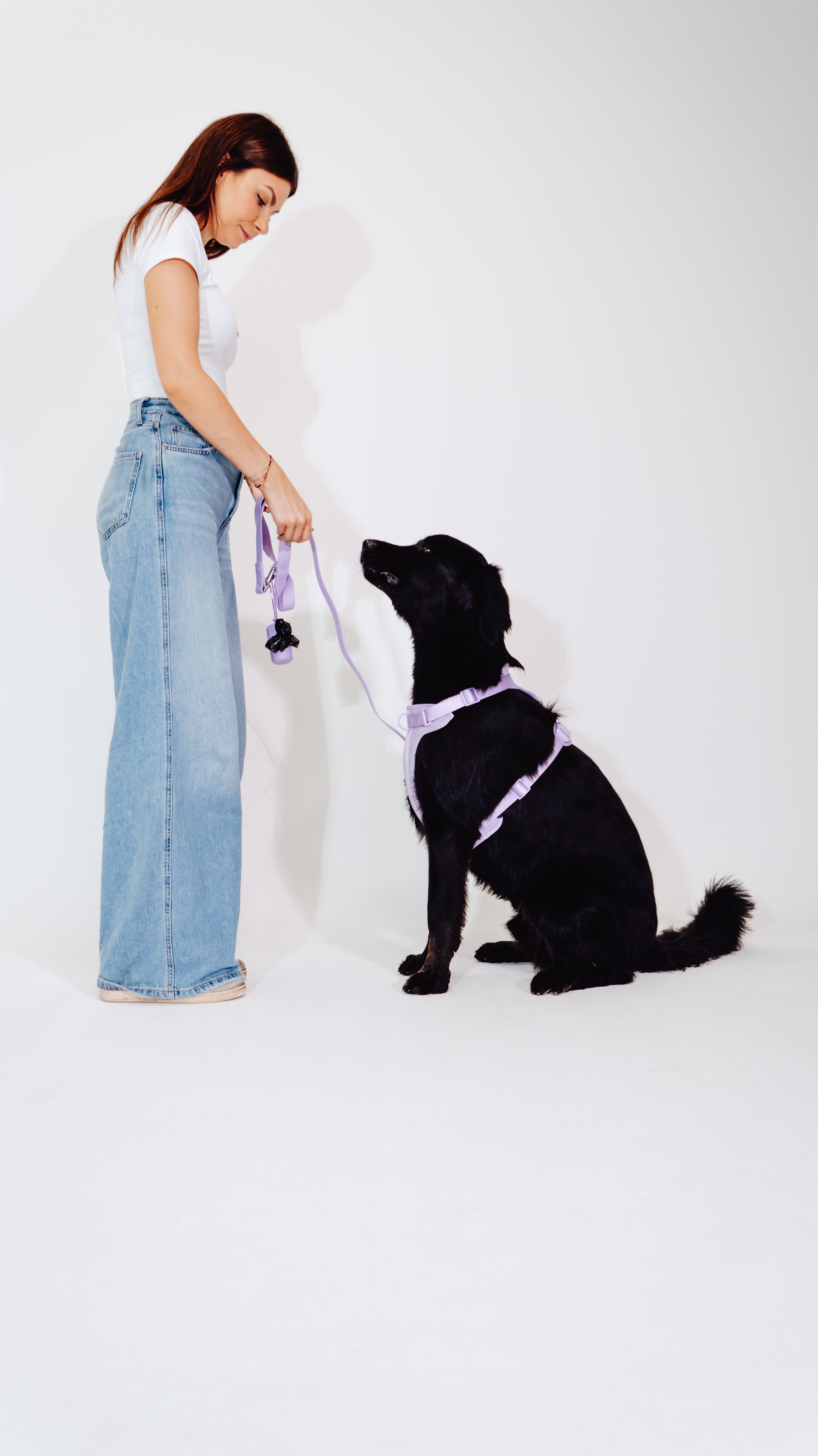 Lavendeltraum Velvy Dog Harness