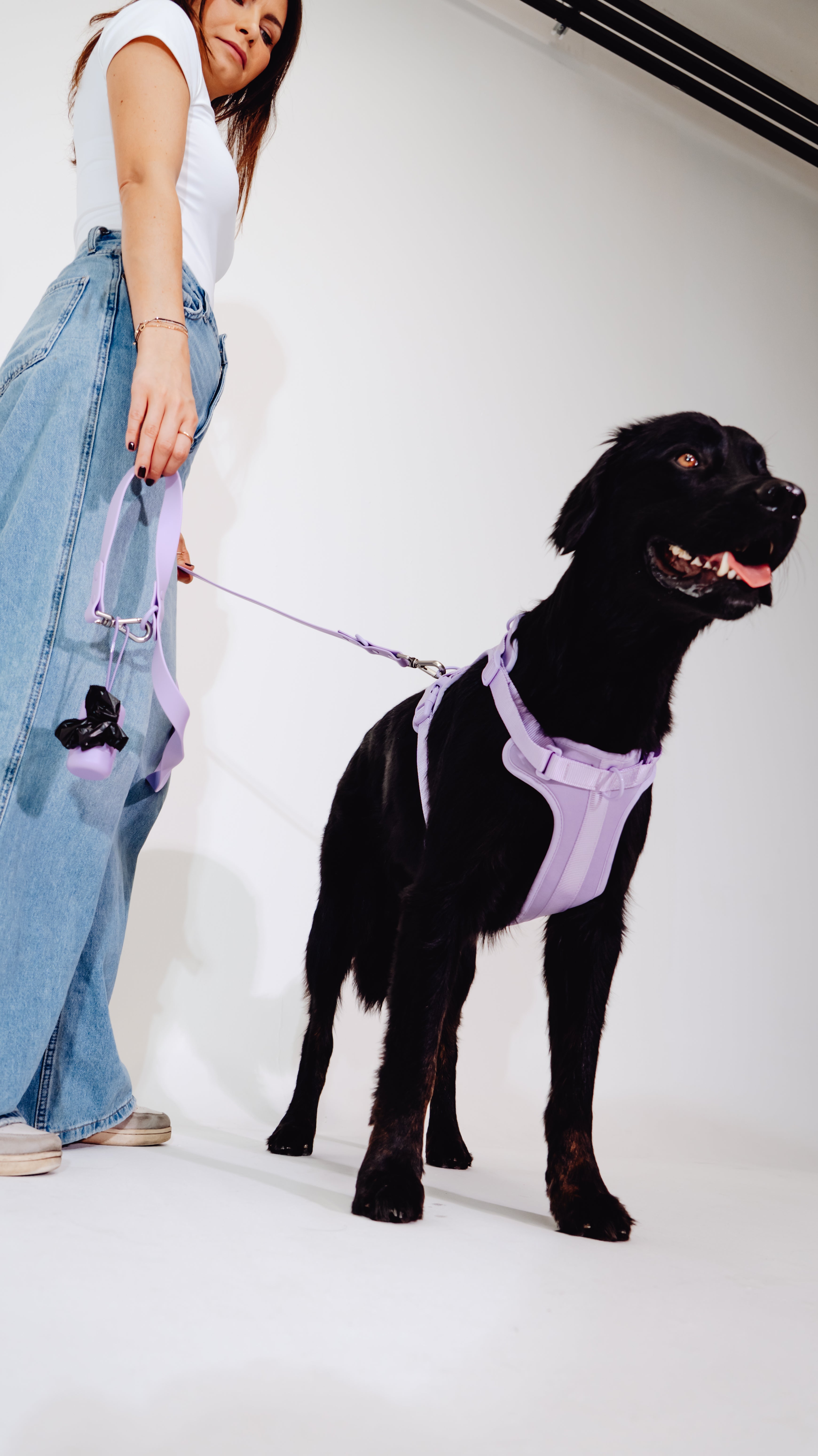 Lavendeltraum Velvy Dog Harness