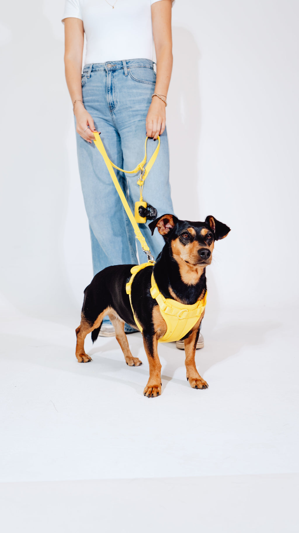 Sunny Soul Velvy Dog Harness