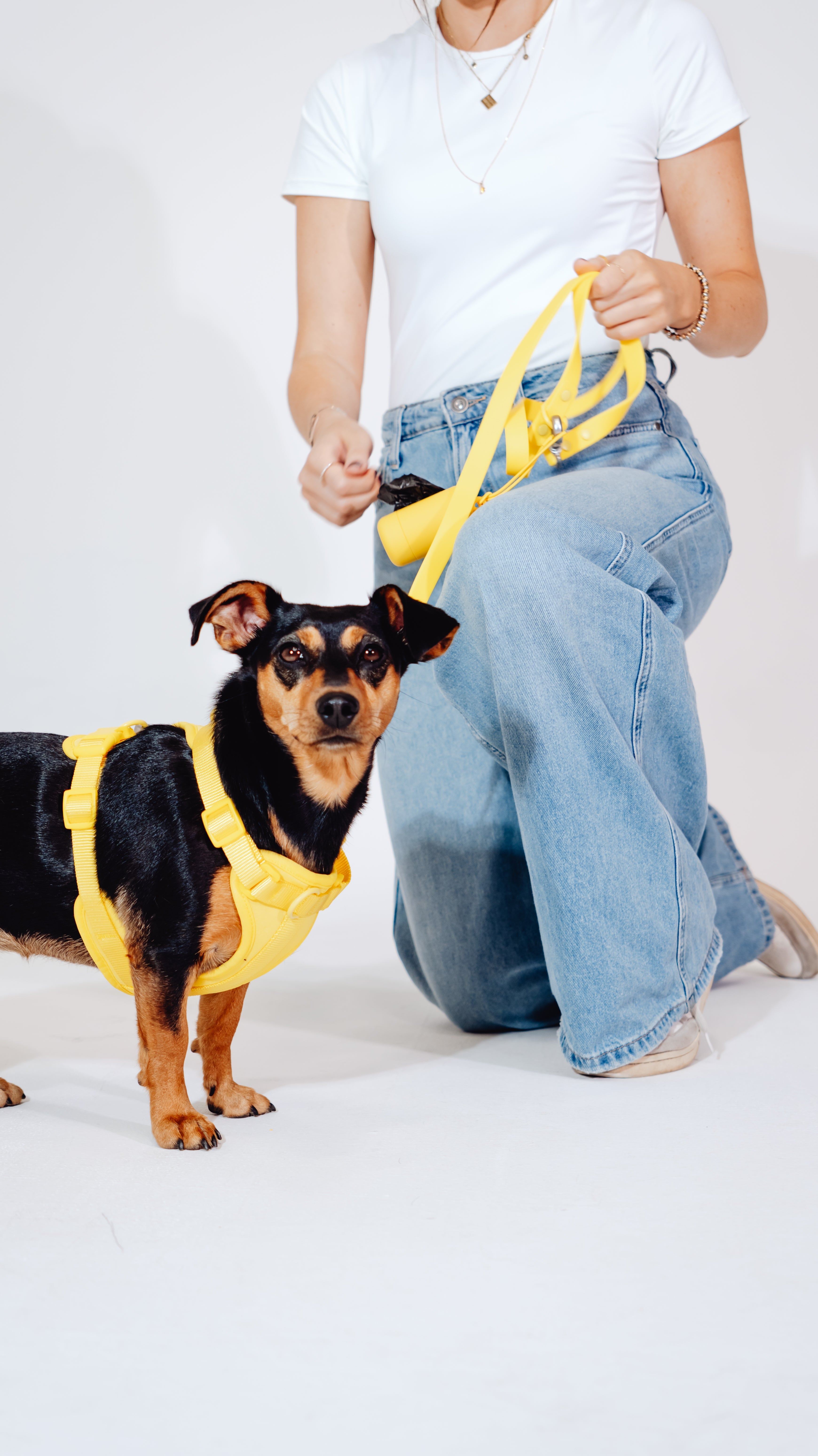 Sunny Soul Velvy Dog Harness