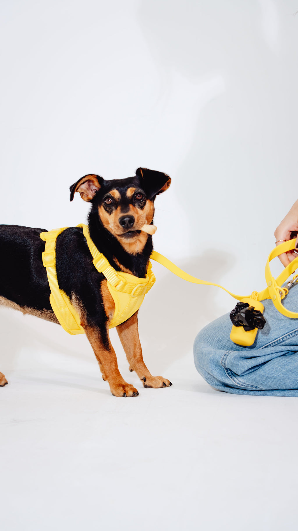 Sunny Soul Velvy Dog Harness