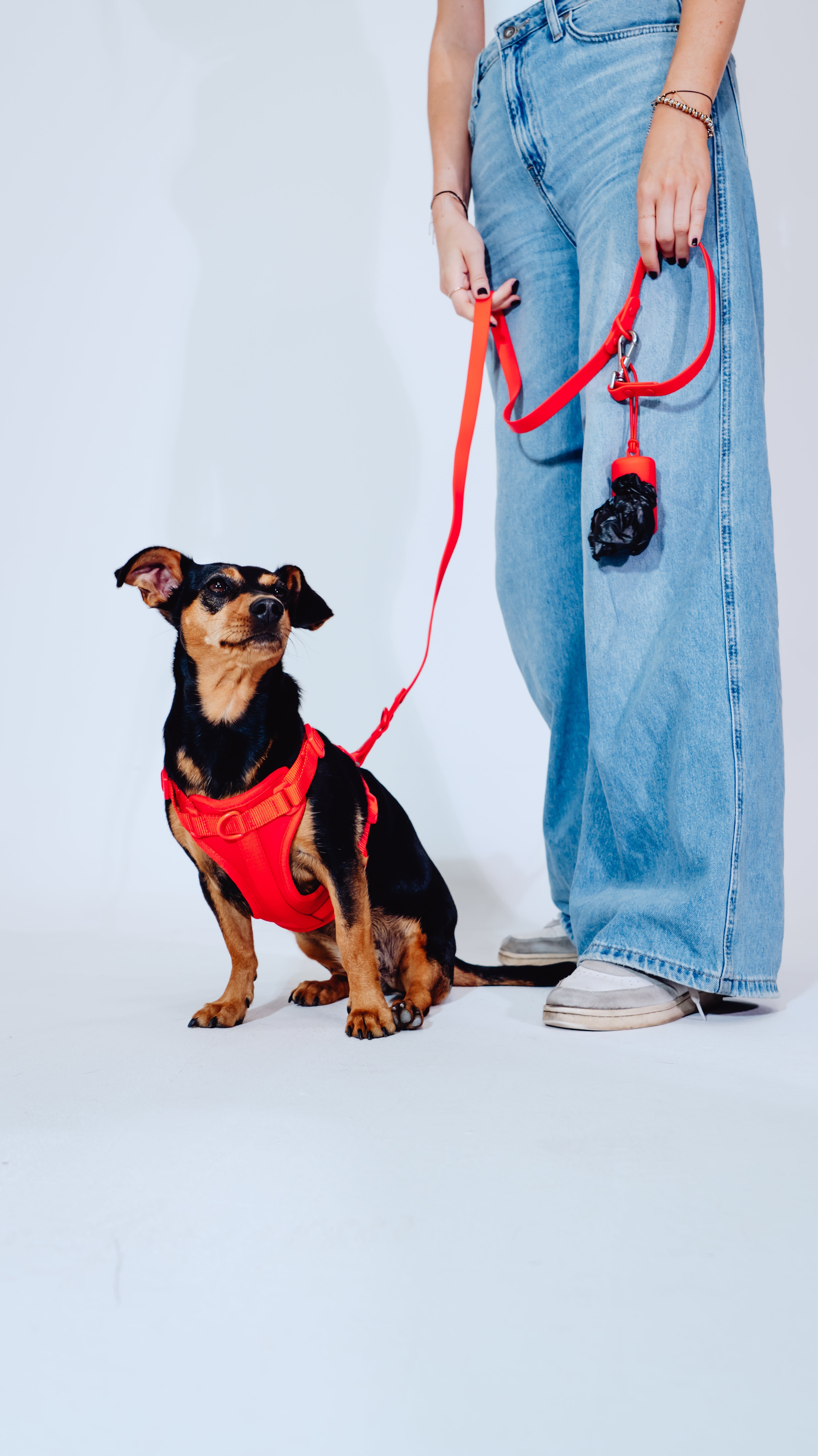 Berry Velvy Dog Harness