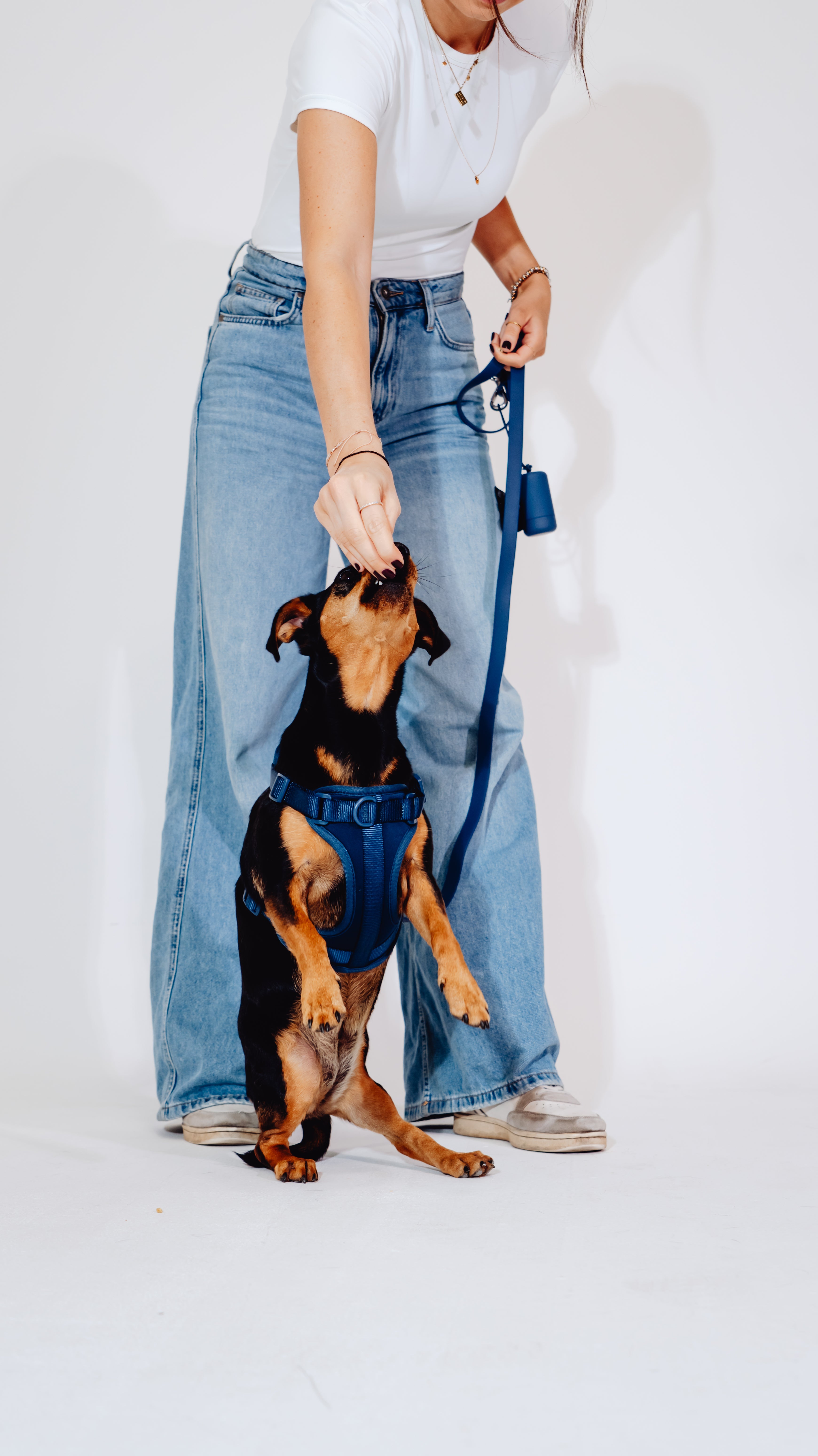 Navy Velvy Dog Harness