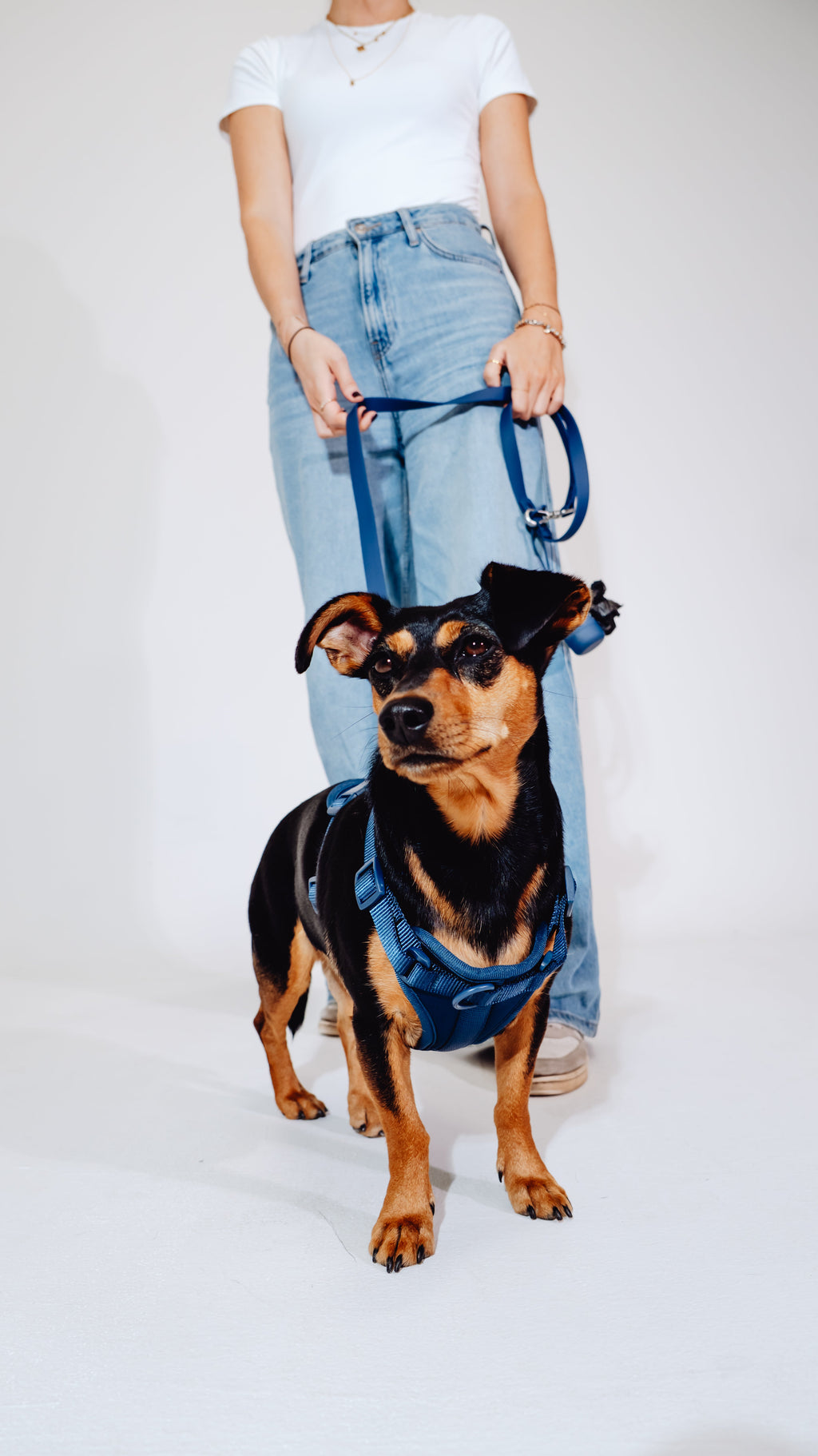 Navy Velvy Dog Harness