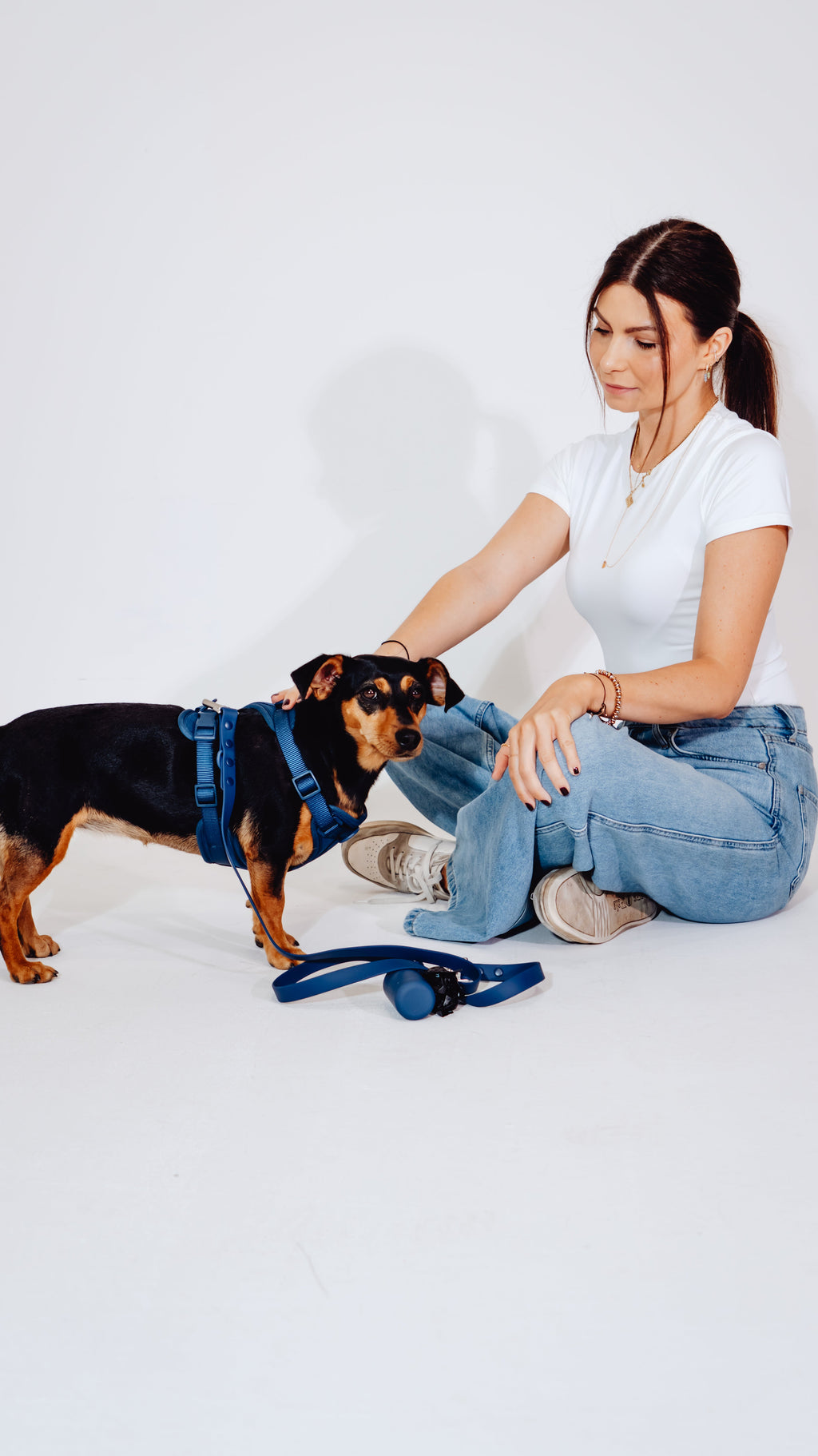 Navy Velvy Dog Harness