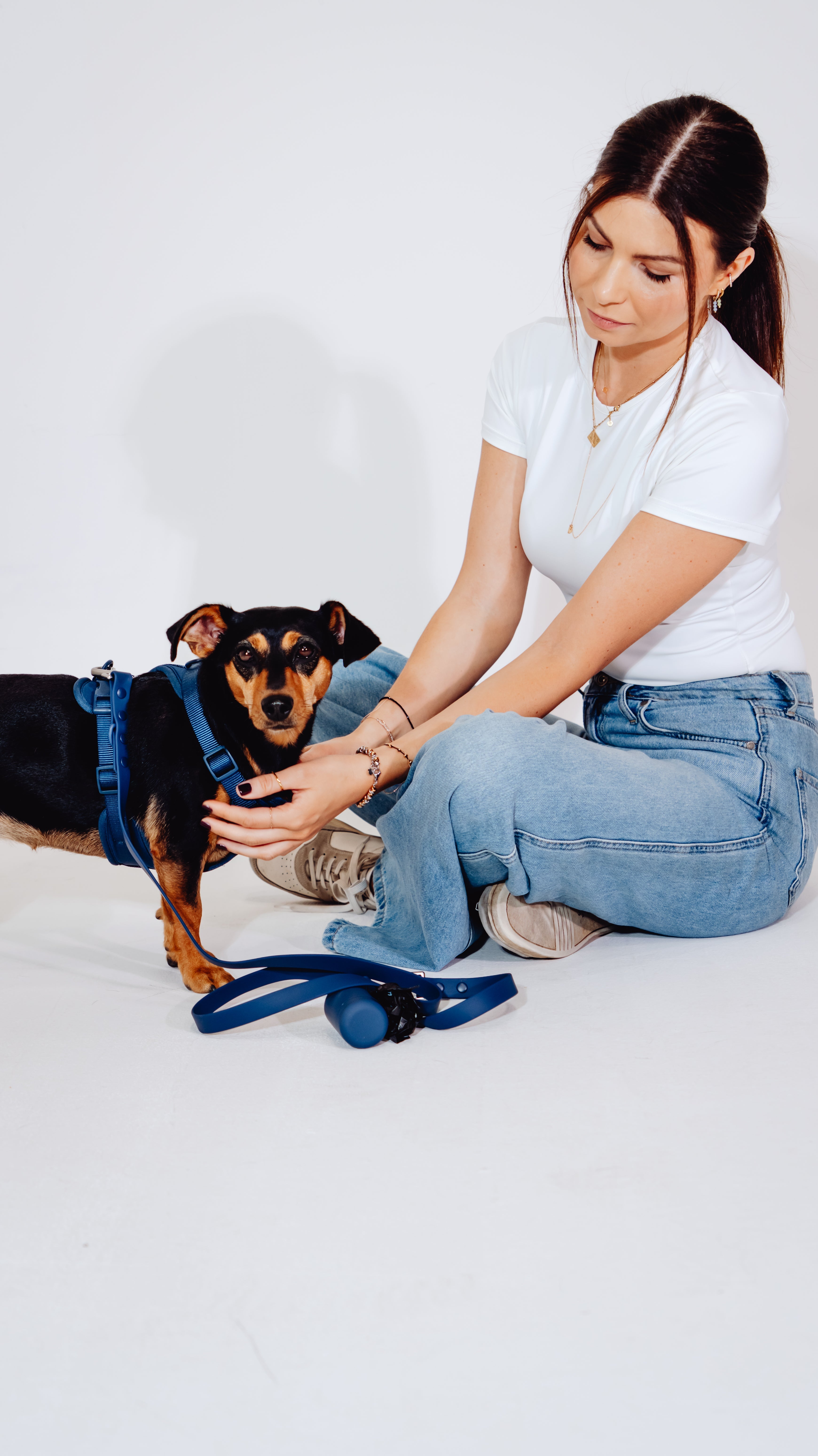Navy Velvy Dog Harness