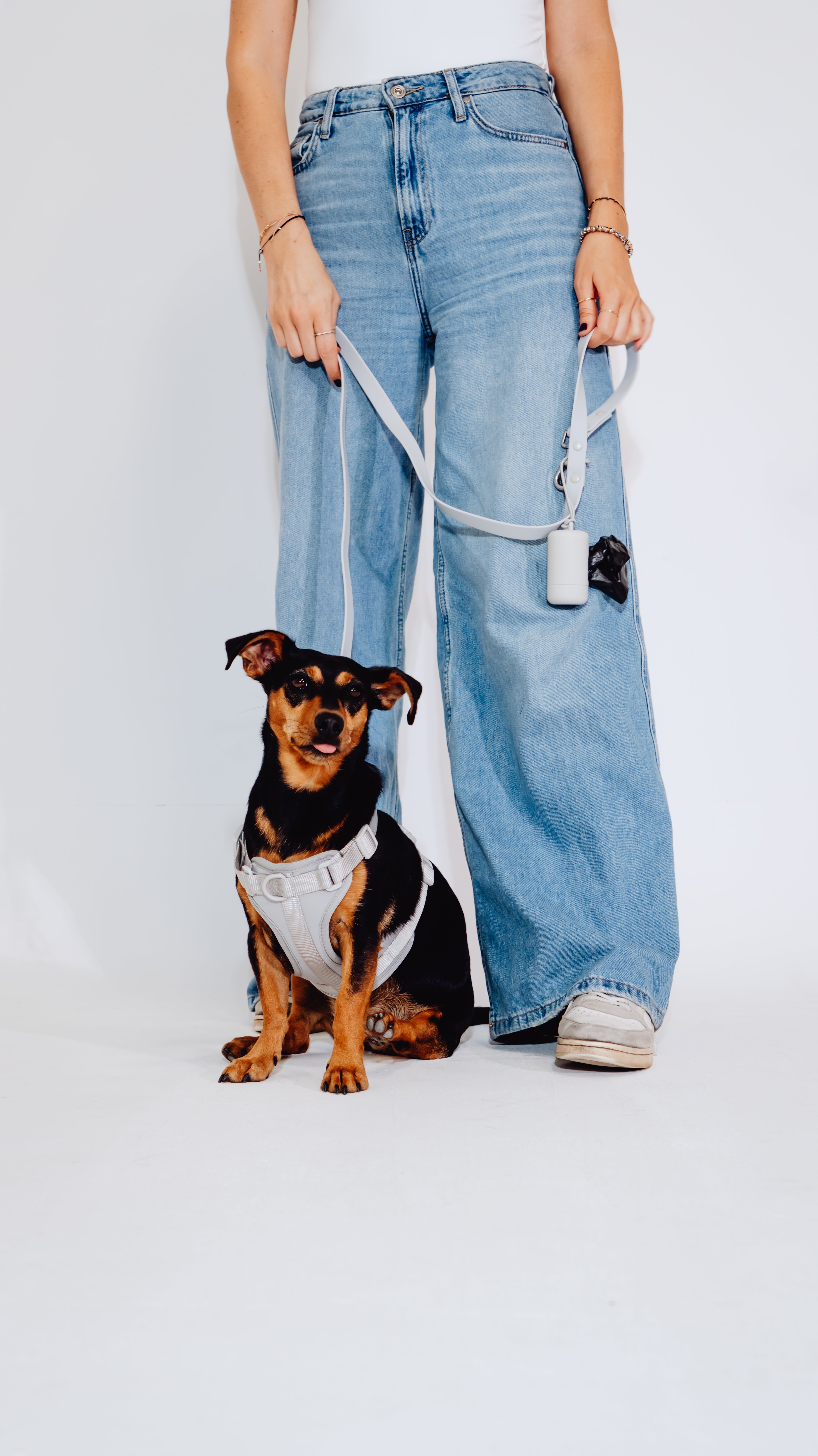 Graphit Velvy Dog Harness