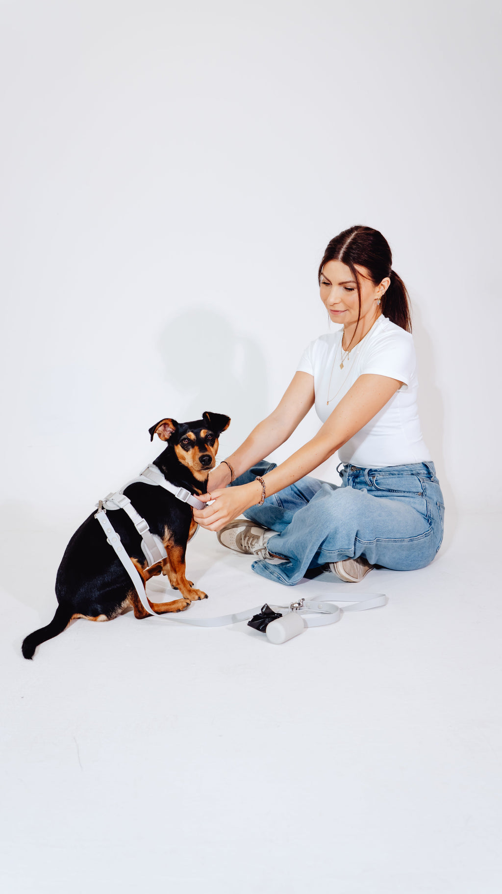 Graphit Velvy Dog Harness