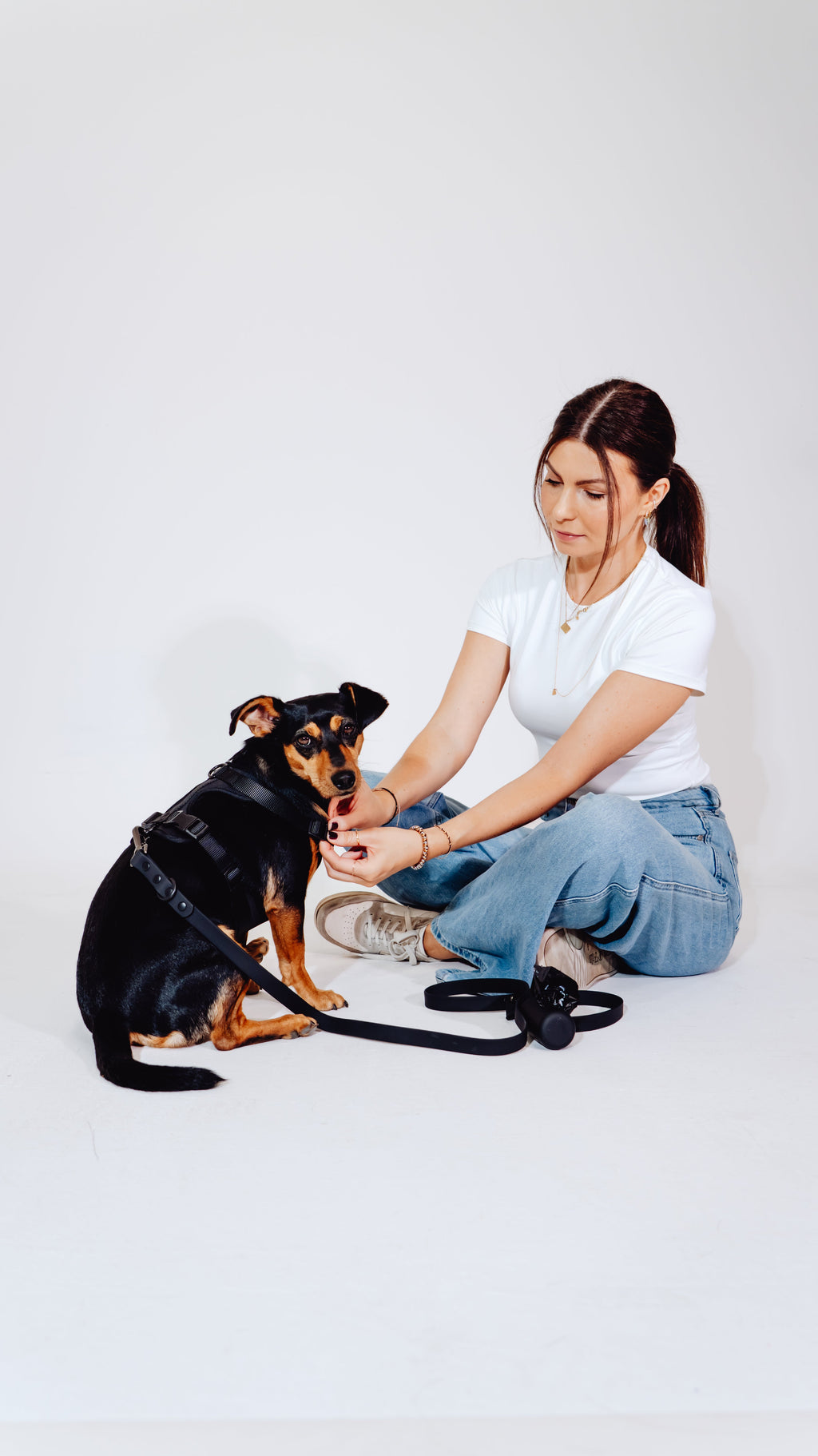 Midnight Velvy Dog Harness