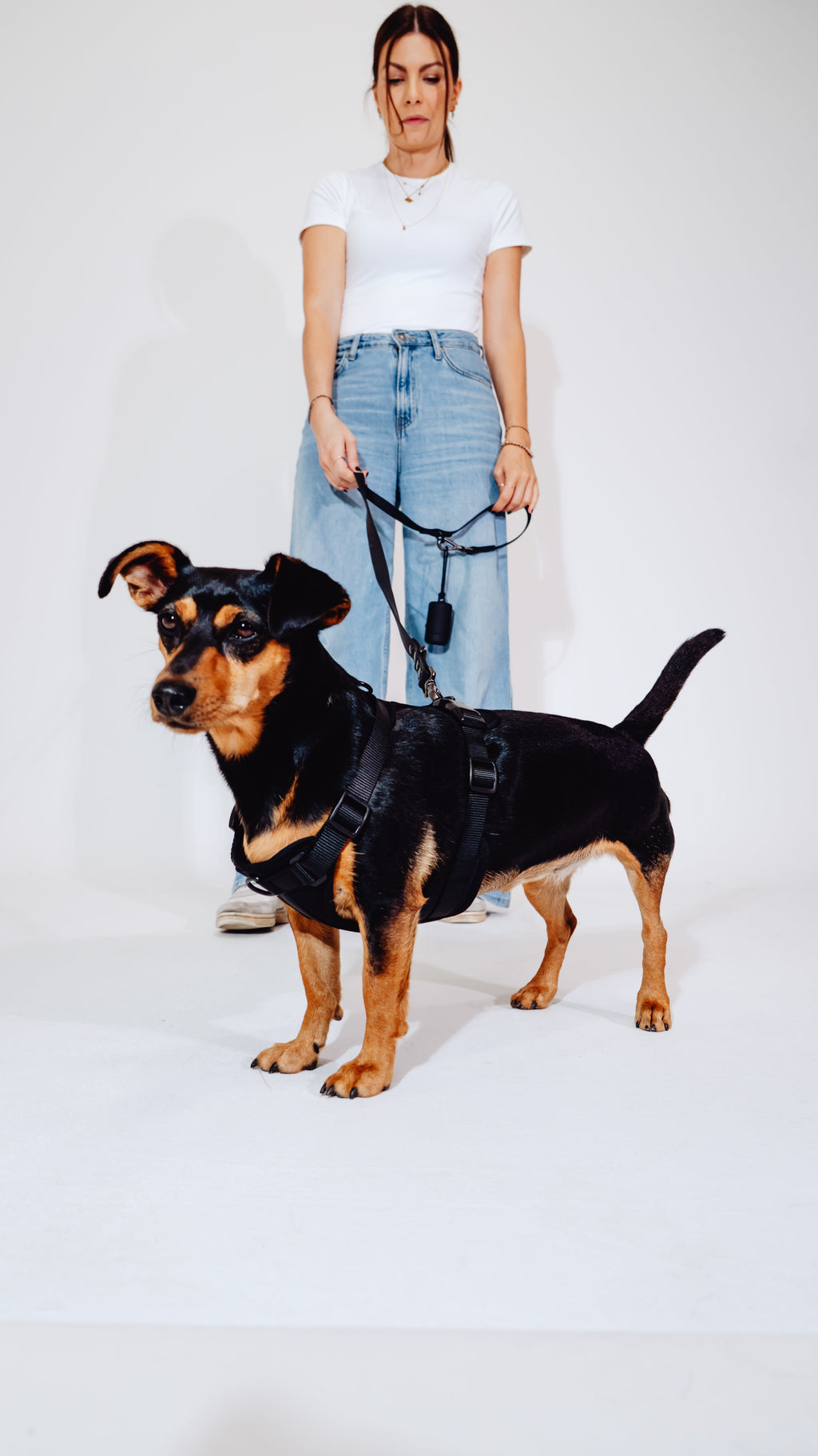 Midnight Velvy Dog Harness