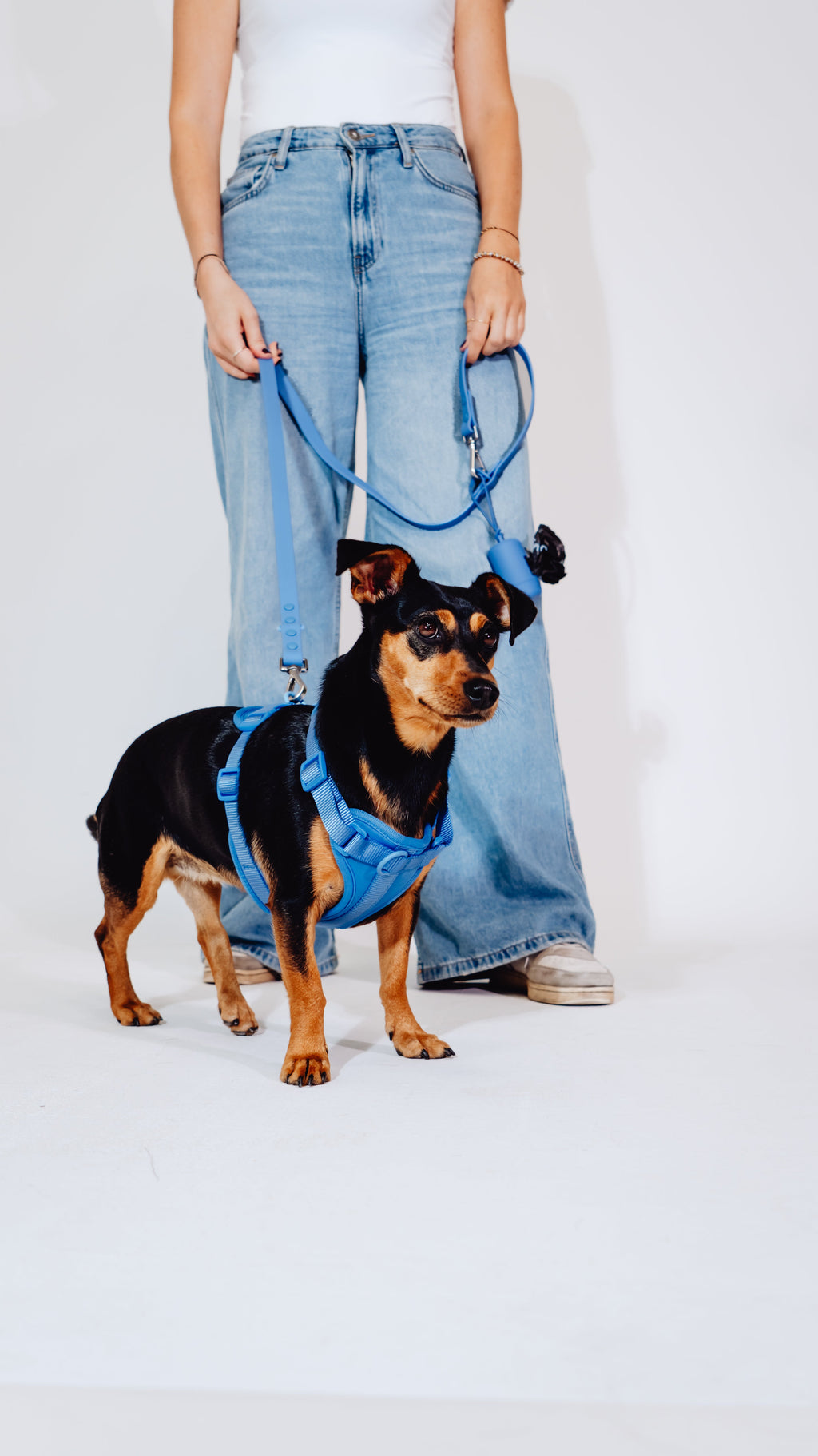Nordwind Velvy Dog Harness
