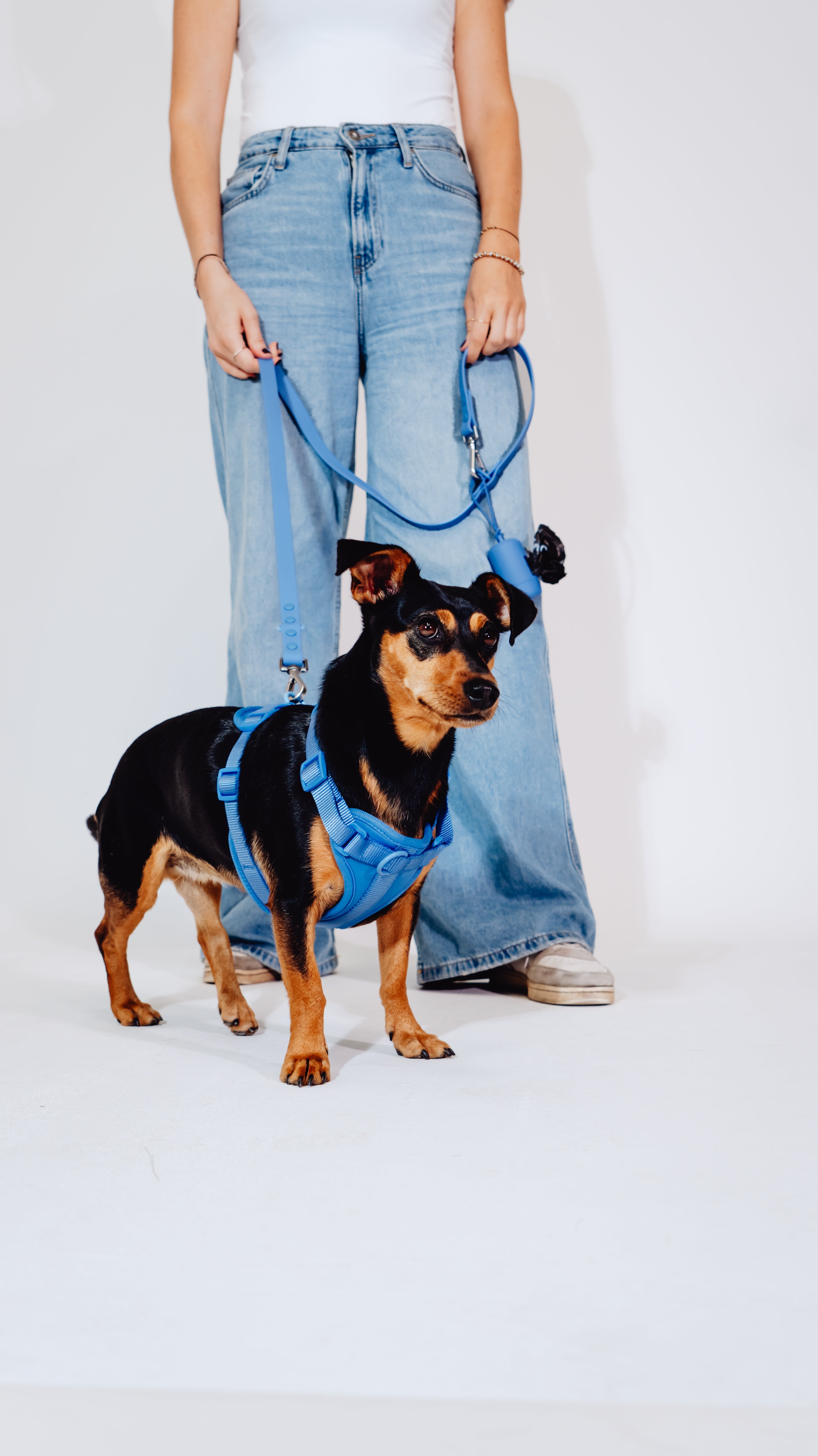 Nordwind Velvy Dog Harness