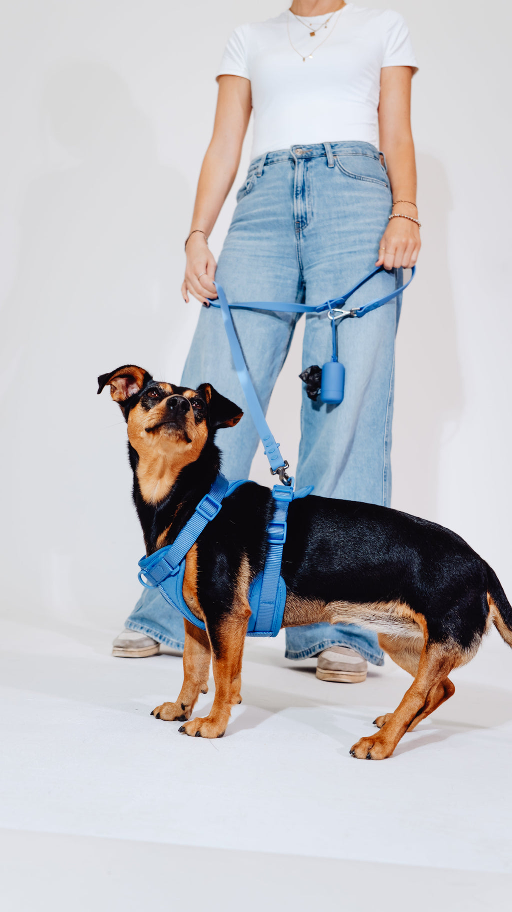 Nordwind Velvy Dog Harness