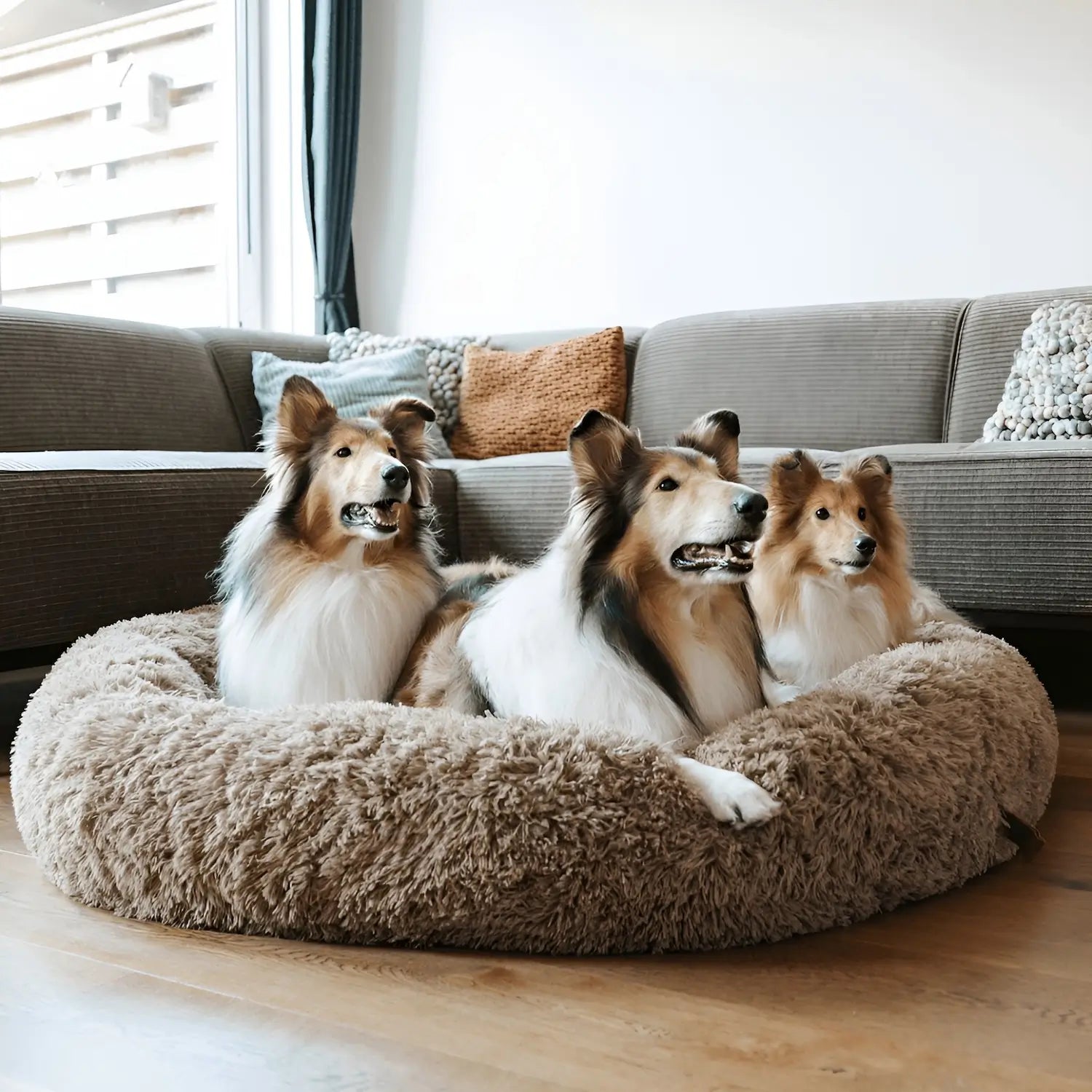 Anti-Anxiety Dog Bed