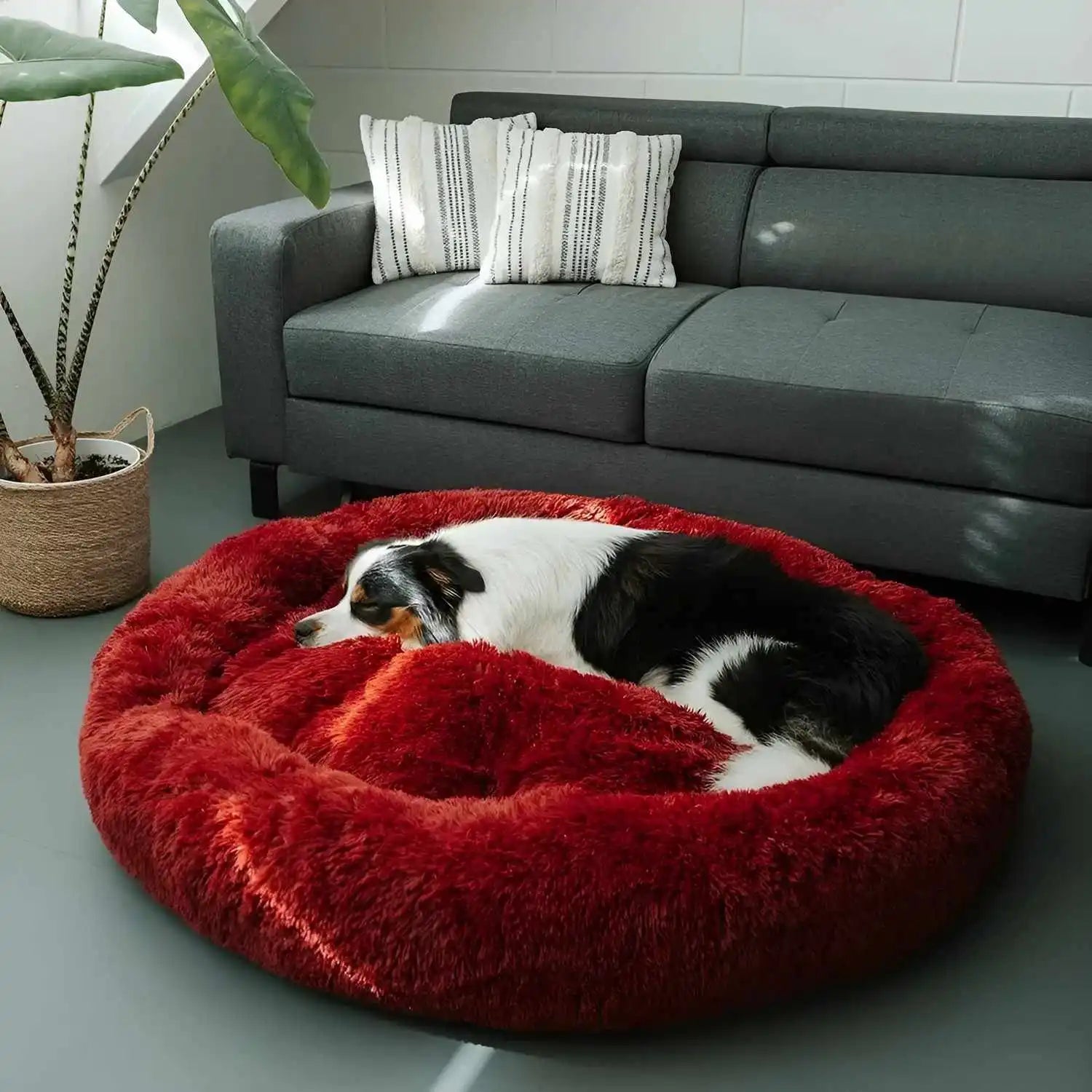Anti-Anxiety Dog Bed
