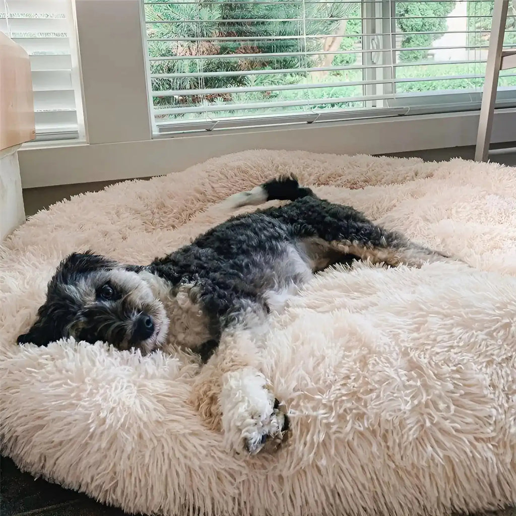 Anti-Anxiety Dog Bed