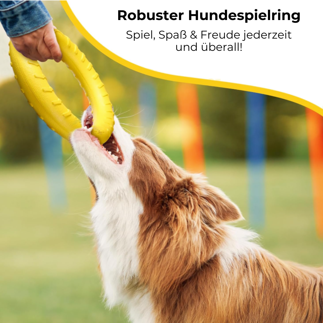 Loopi Dog Play Ring