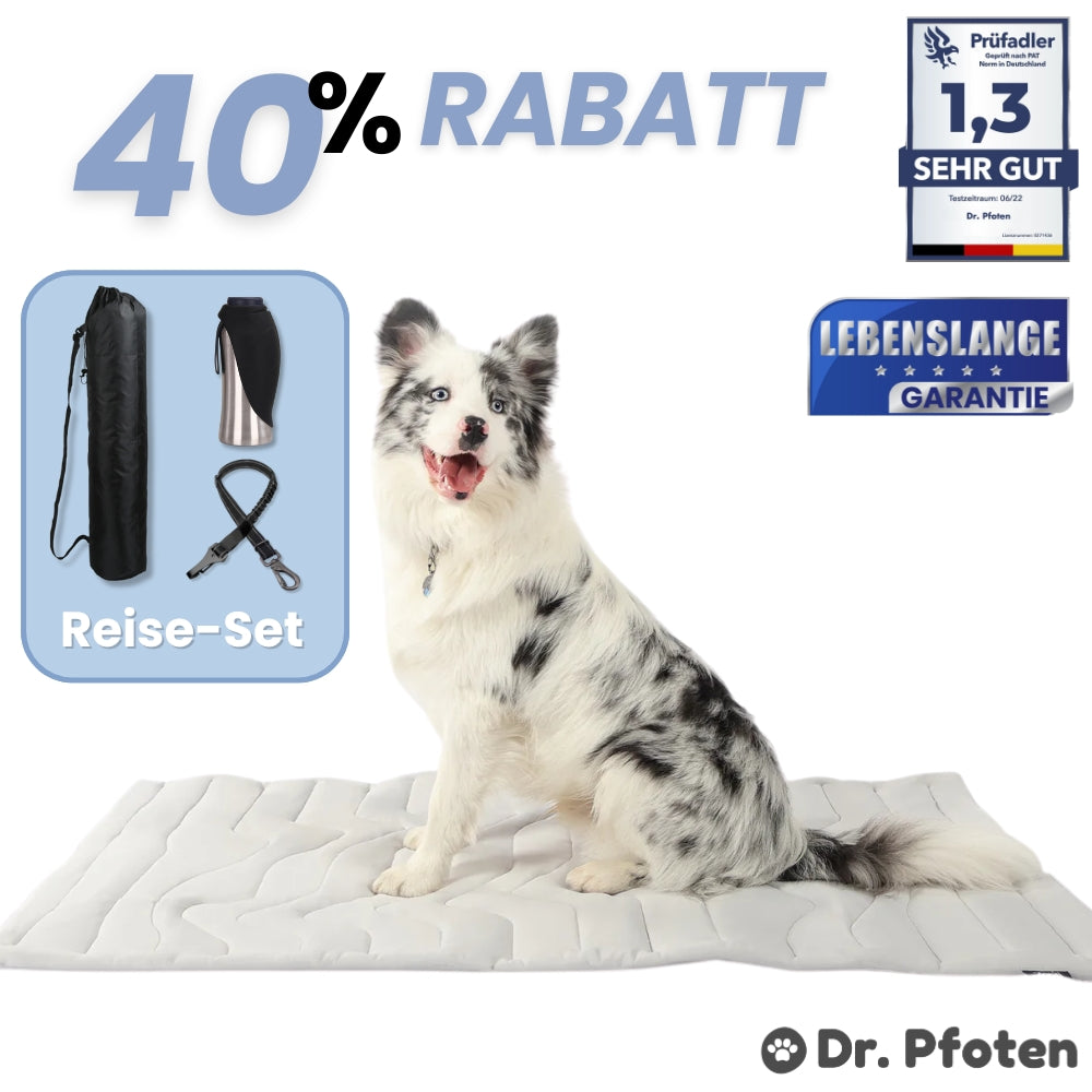 PfotenChill Deluxe Cooling Mat Set