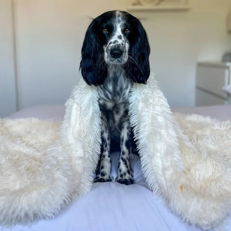 Calming Pet Blanket