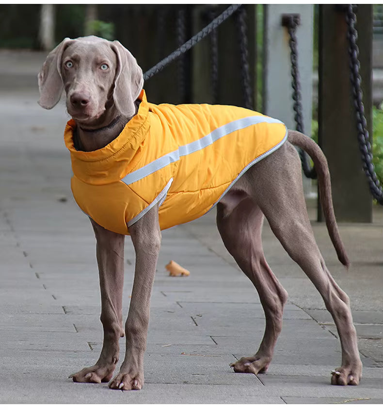 Active+ Thermo Fleece Dog Coat