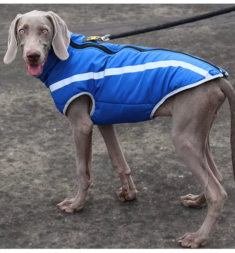 Active+ Thermo Fleece Dog Coat