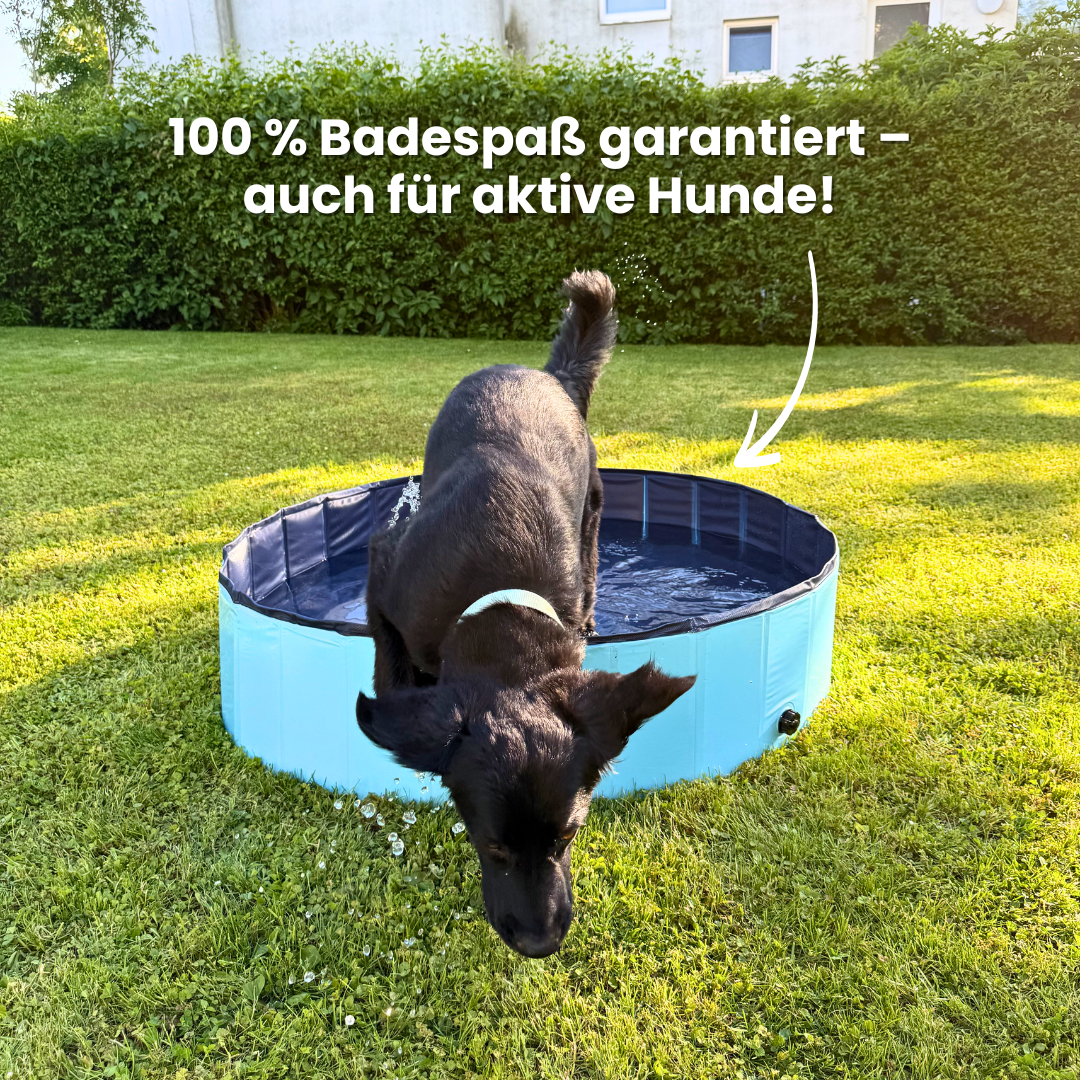 DogSplash Dog Pool