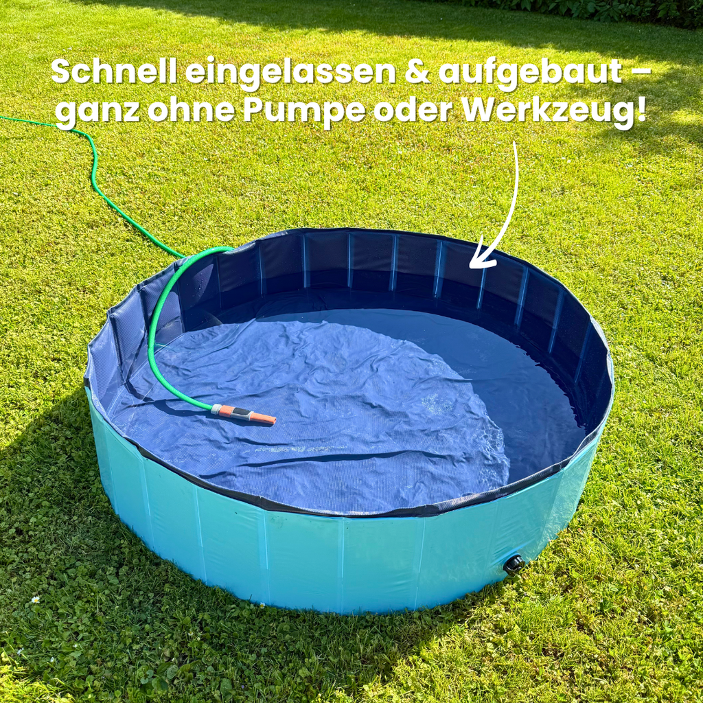 DogSplash Dog Pool
