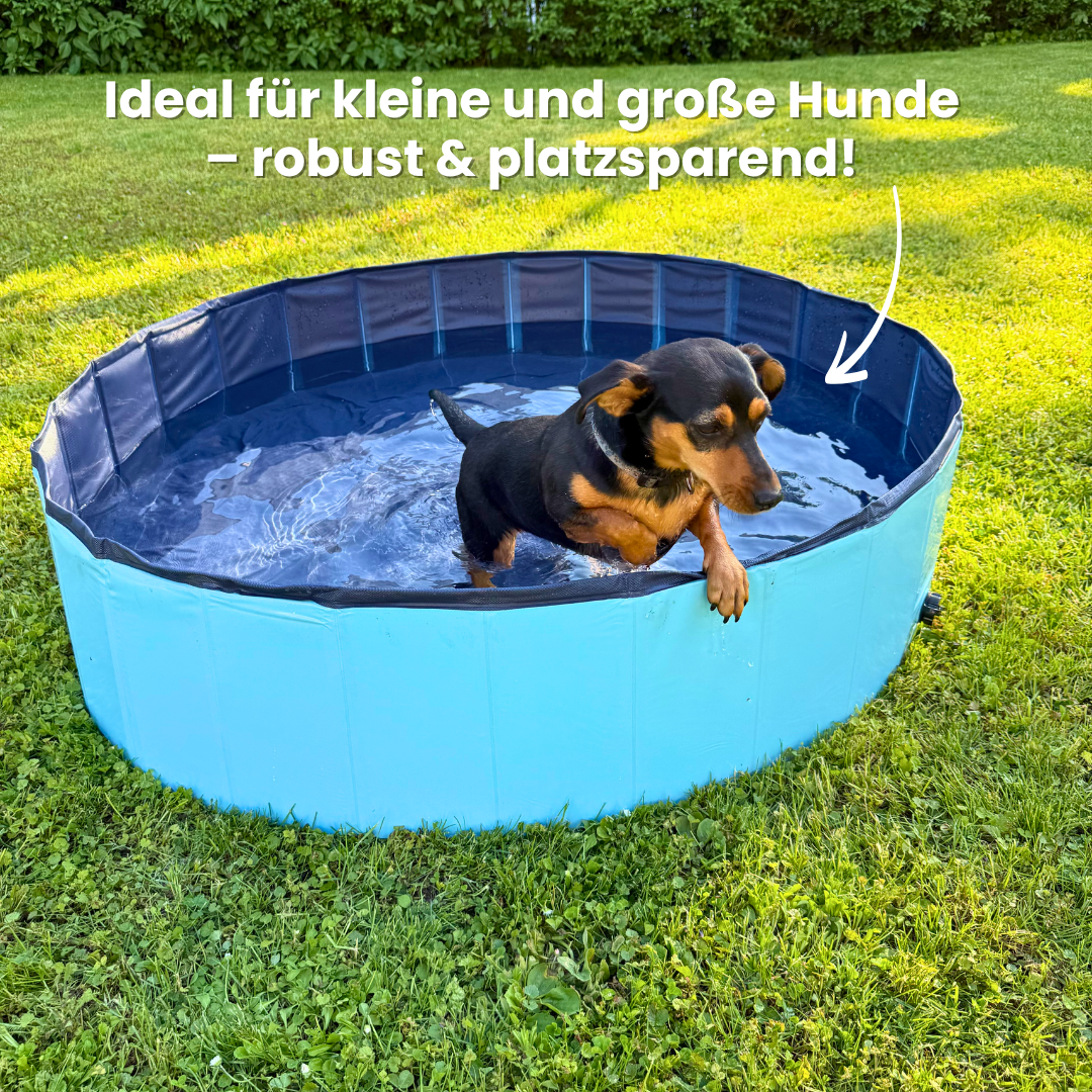 DogSplash Dog Pool