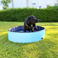 DogSplash Dog Pool