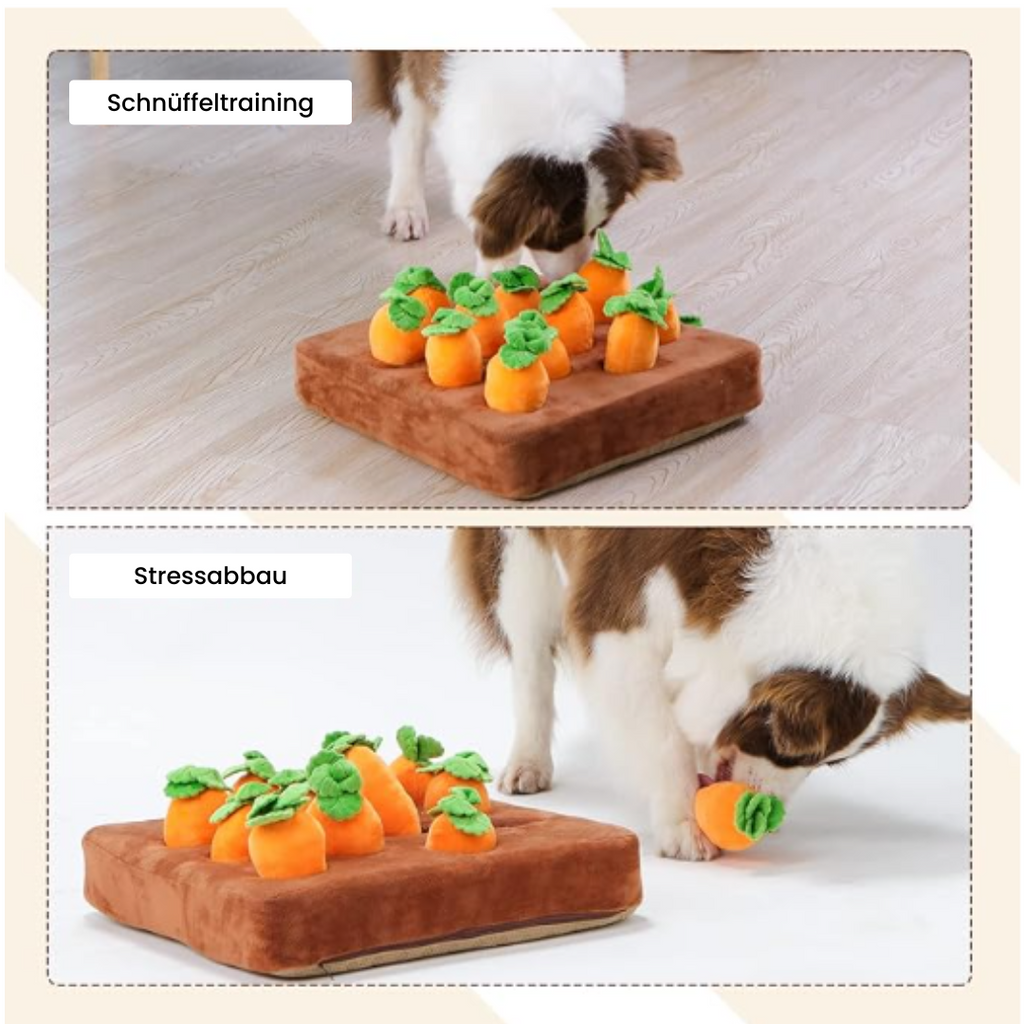 SniffCarrot Snuffle Toy