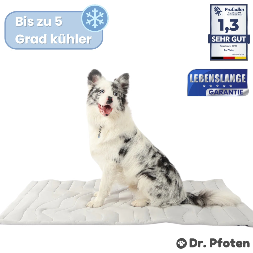 PfotenChill Dog Cooling Mat