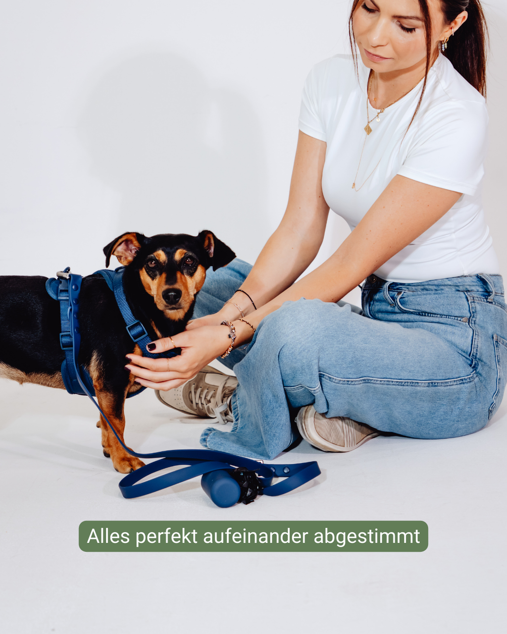 Navy Velvy Harness Set