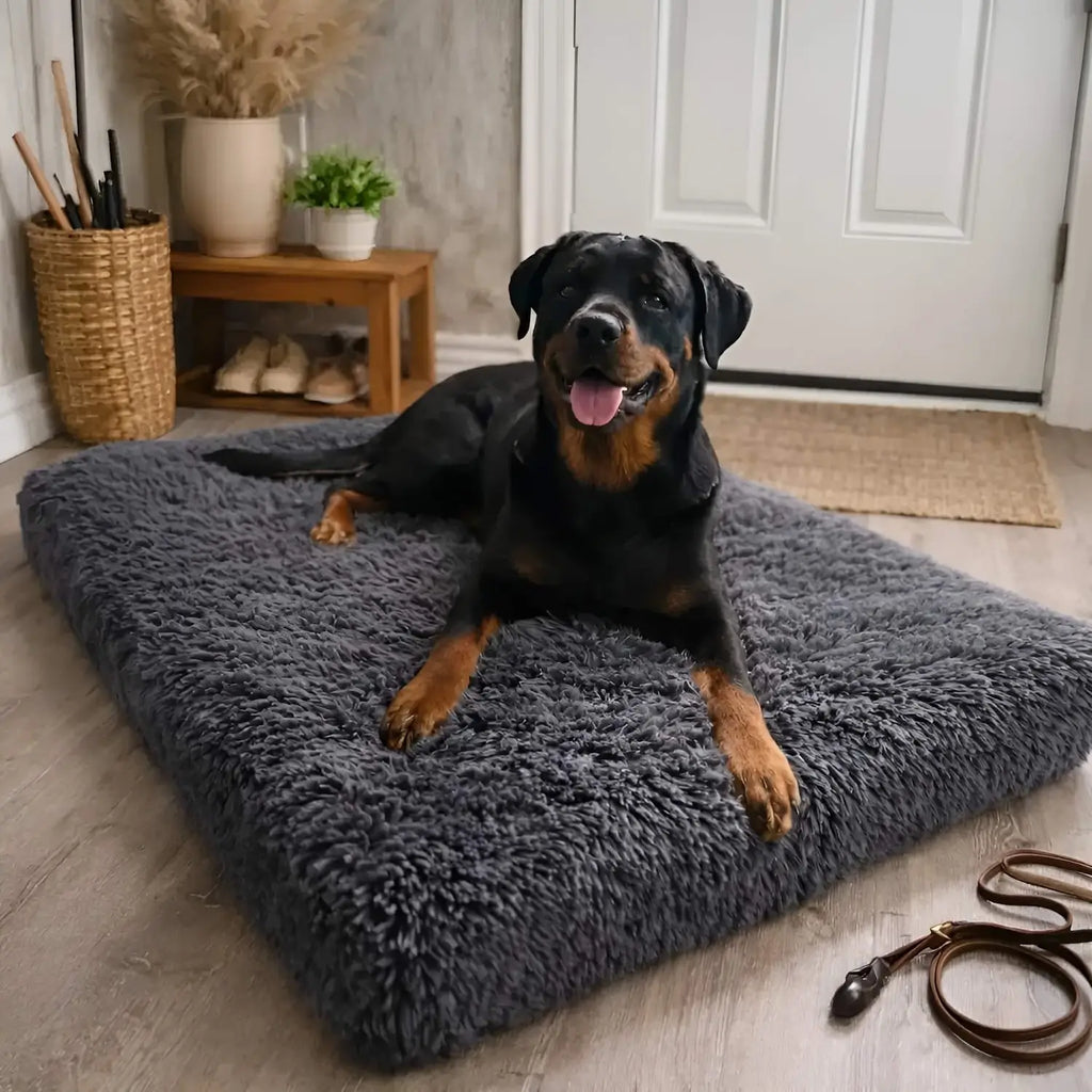 Orthopedic Dog Cushion