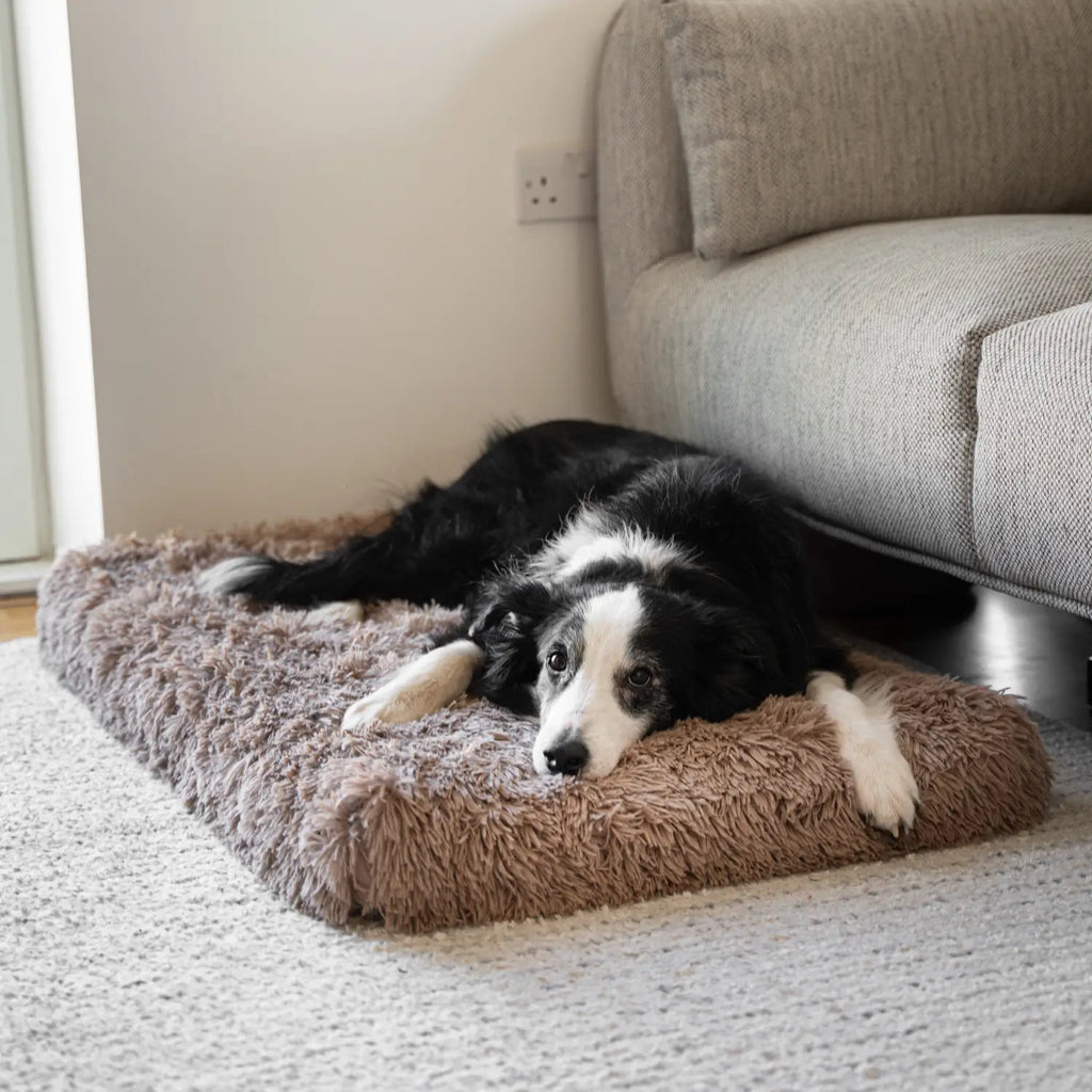 Orthopedic Dog Cushion