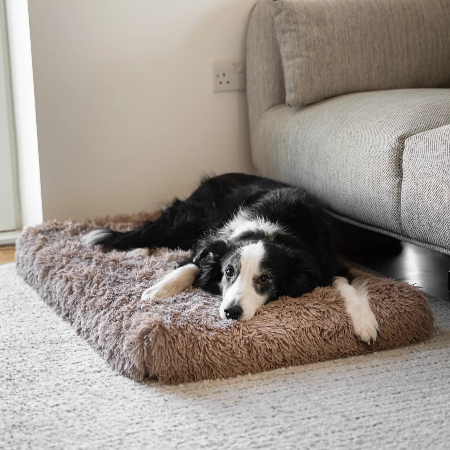 Orthopedic Dog Cushion