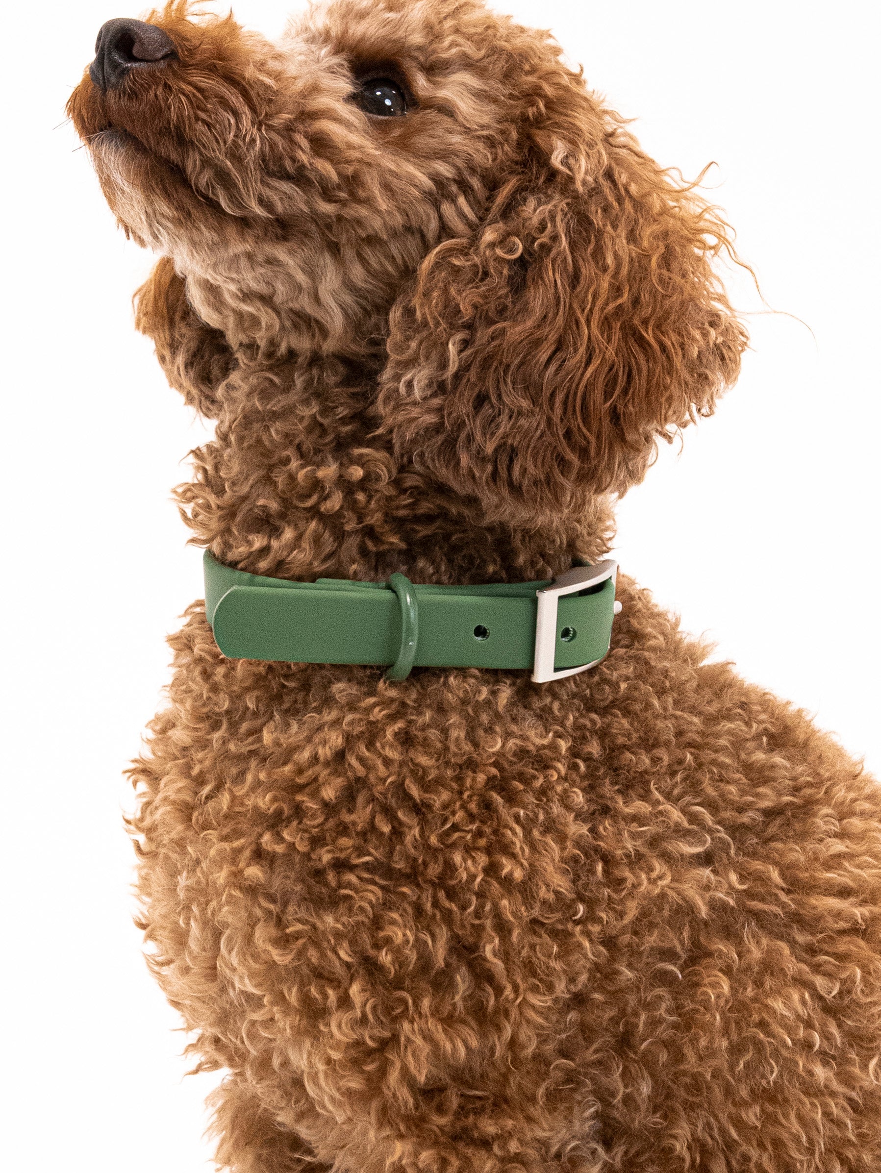 Waldpfote Velvy Collar Set