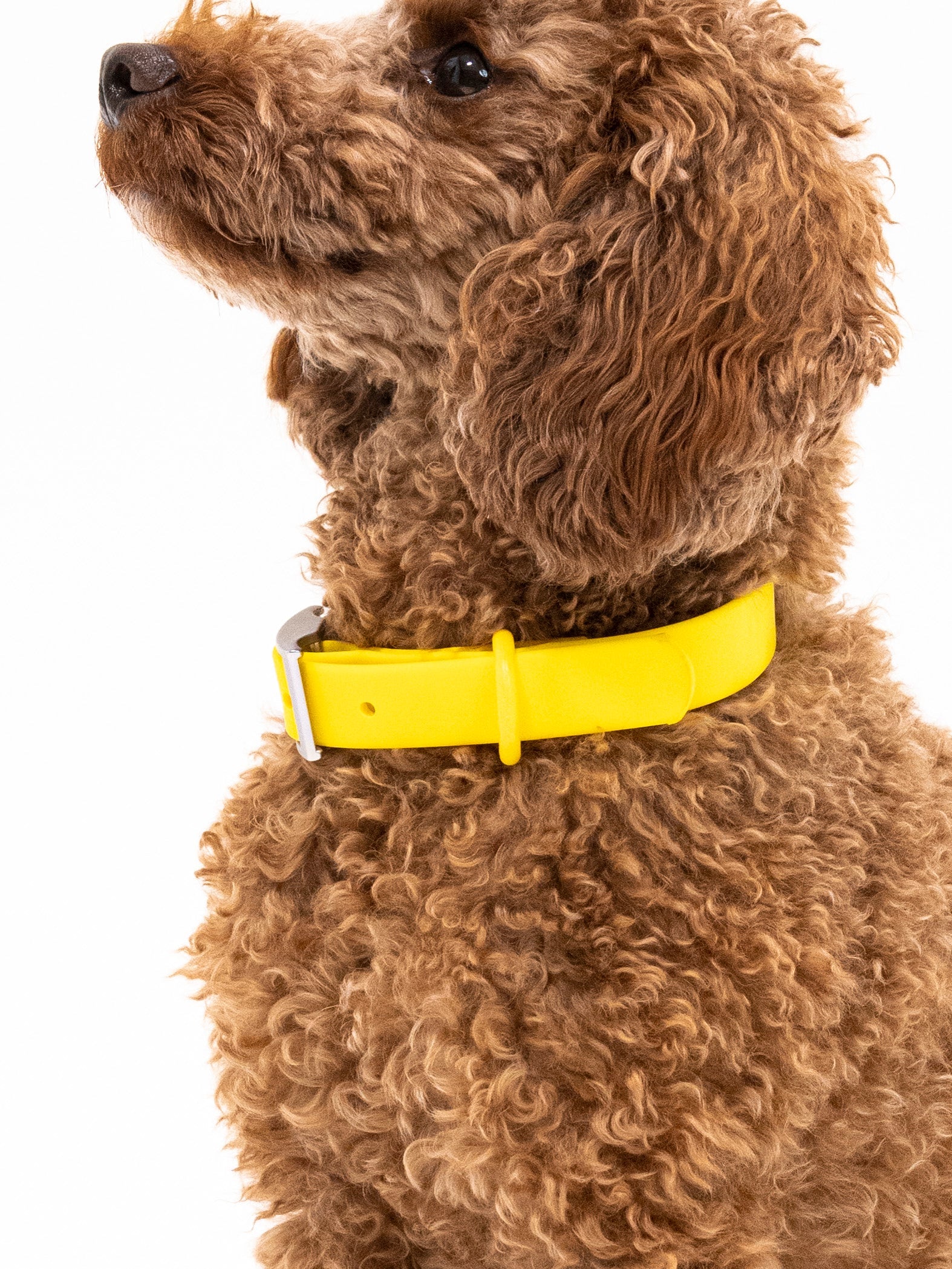Sunny Soul Velvy Collar Set