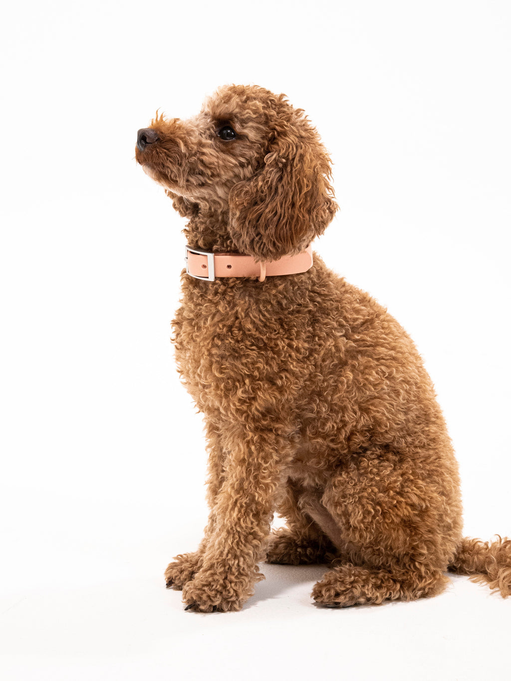 Pfirsich Velvy Collar Set