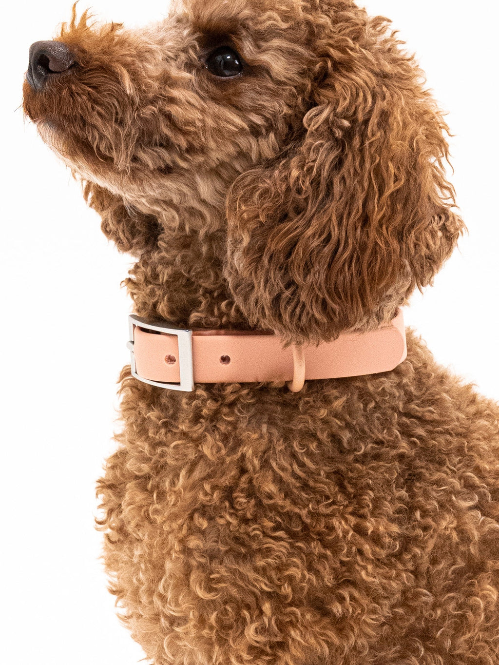 Pfirsich Velvy Collar Set