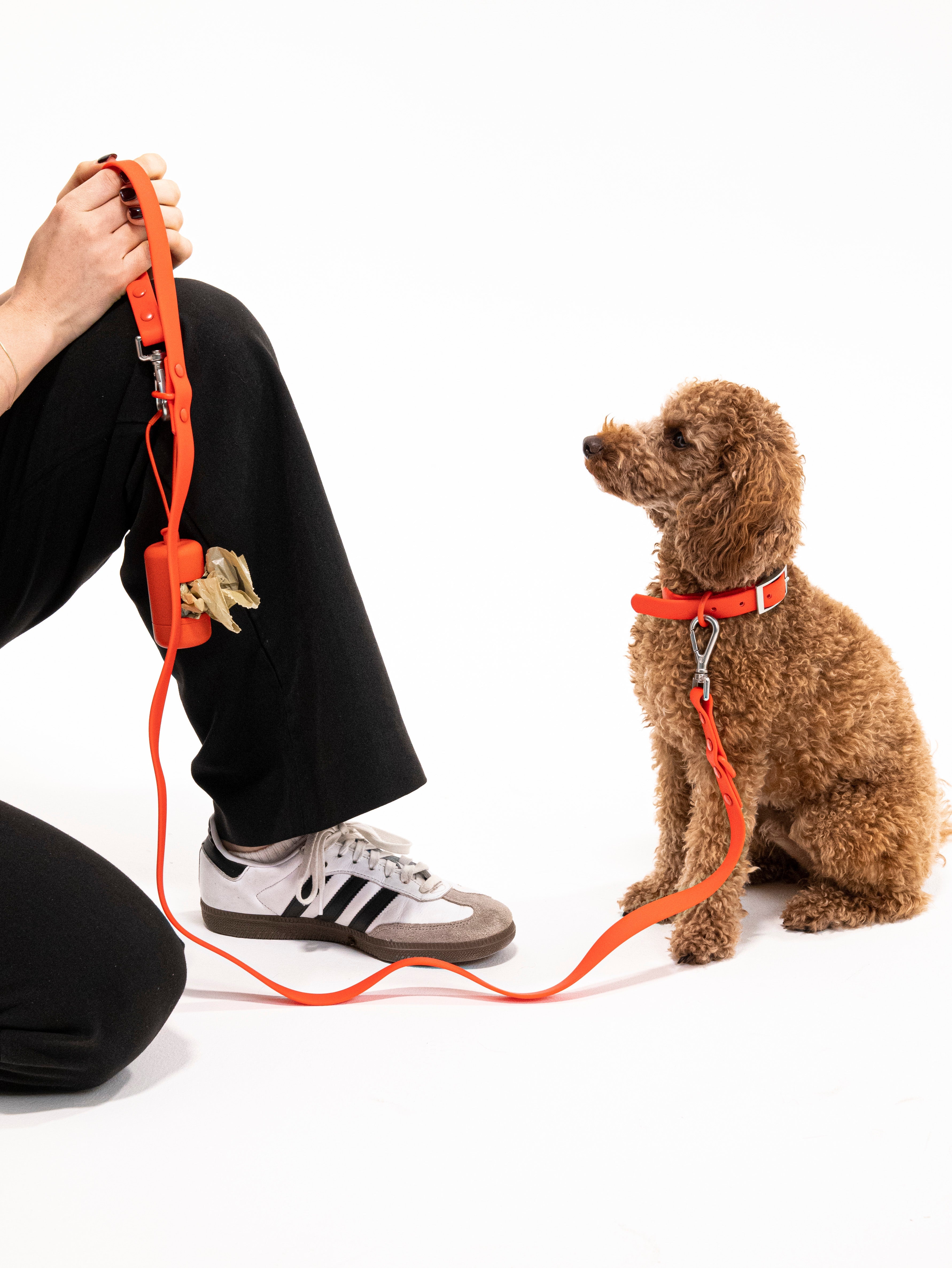 Berry Velvy Dog Leash