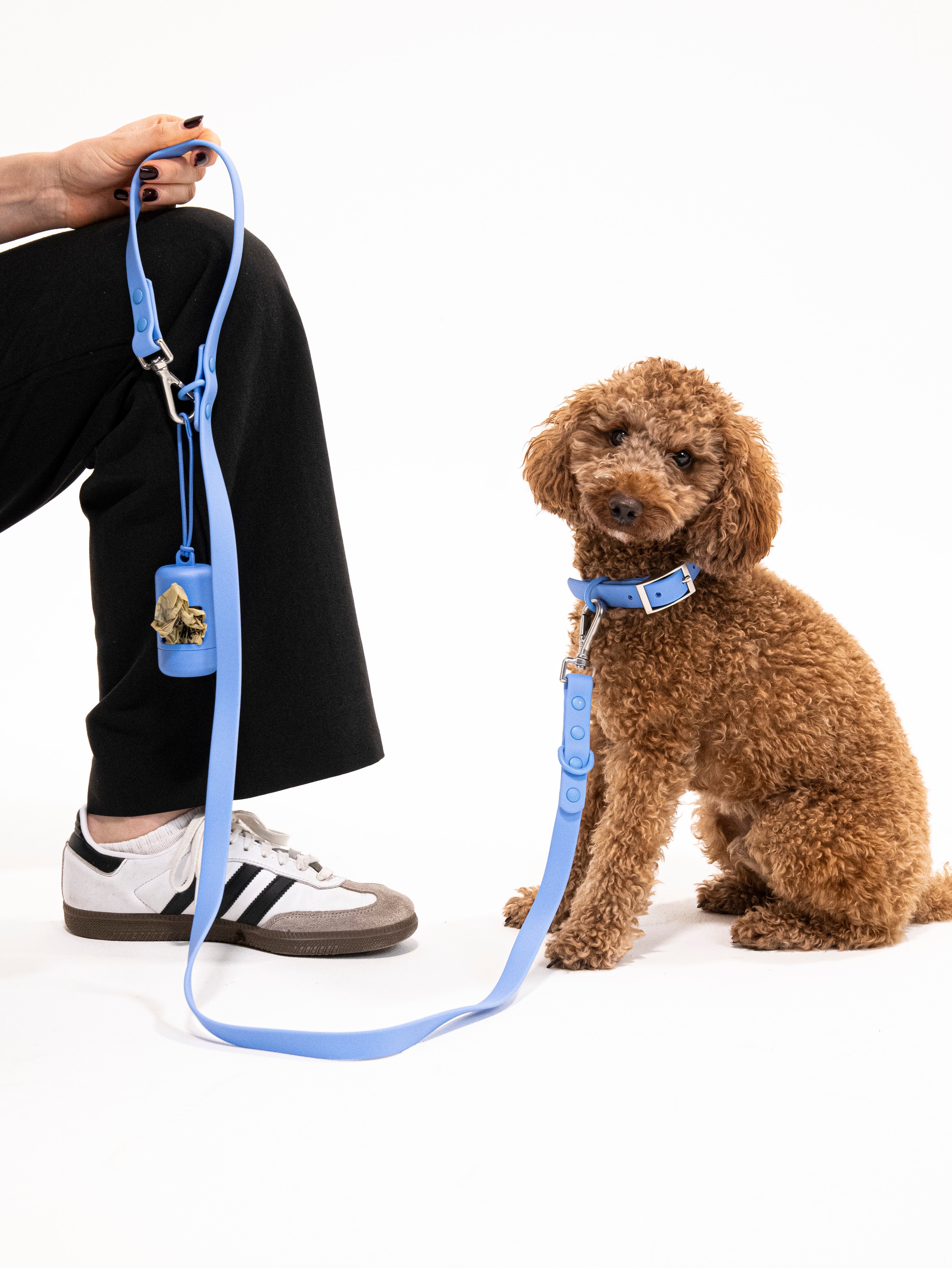 Nordwind Velvy Dog Leash