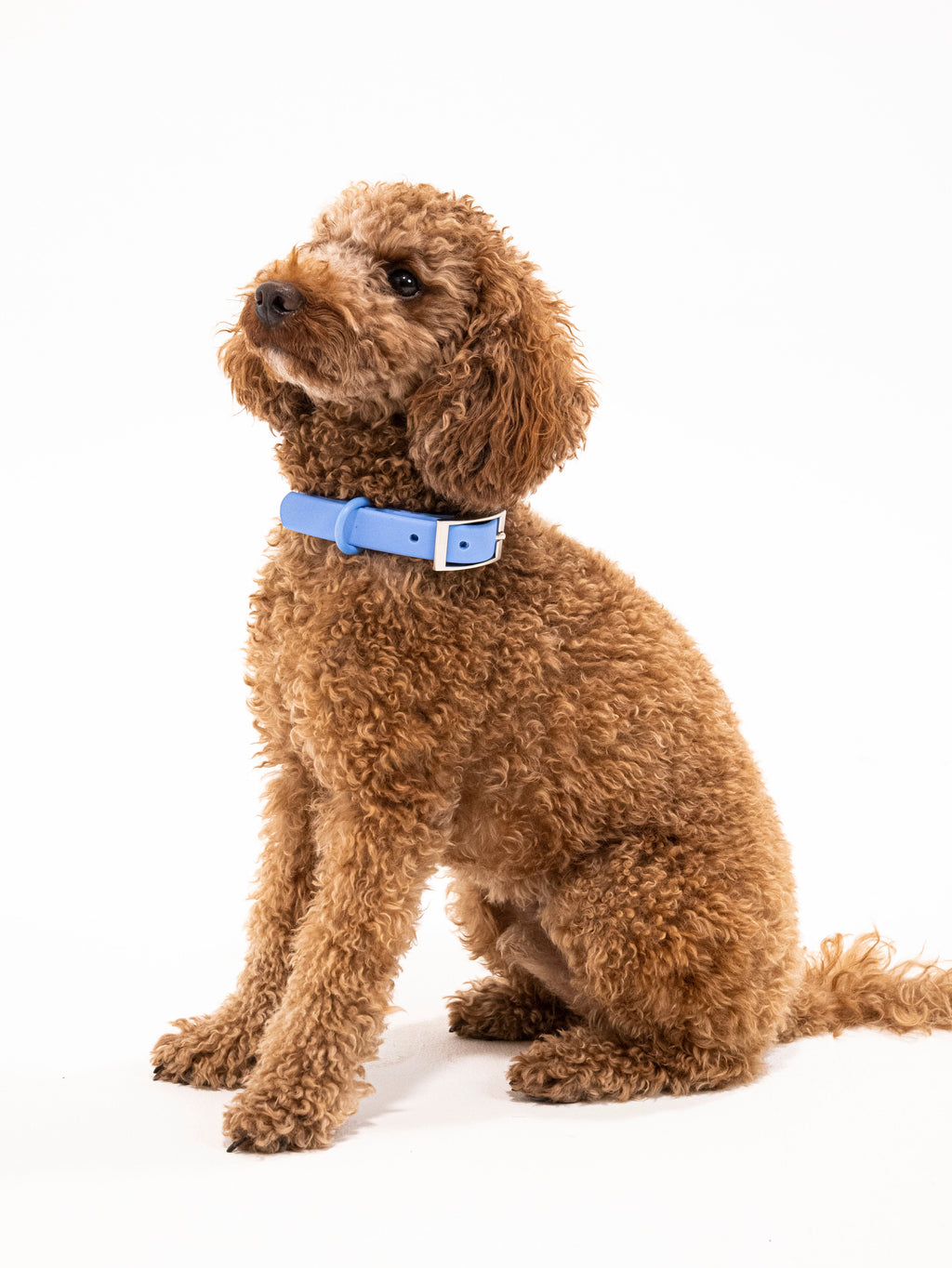 Nordwind Velvy Collar Set