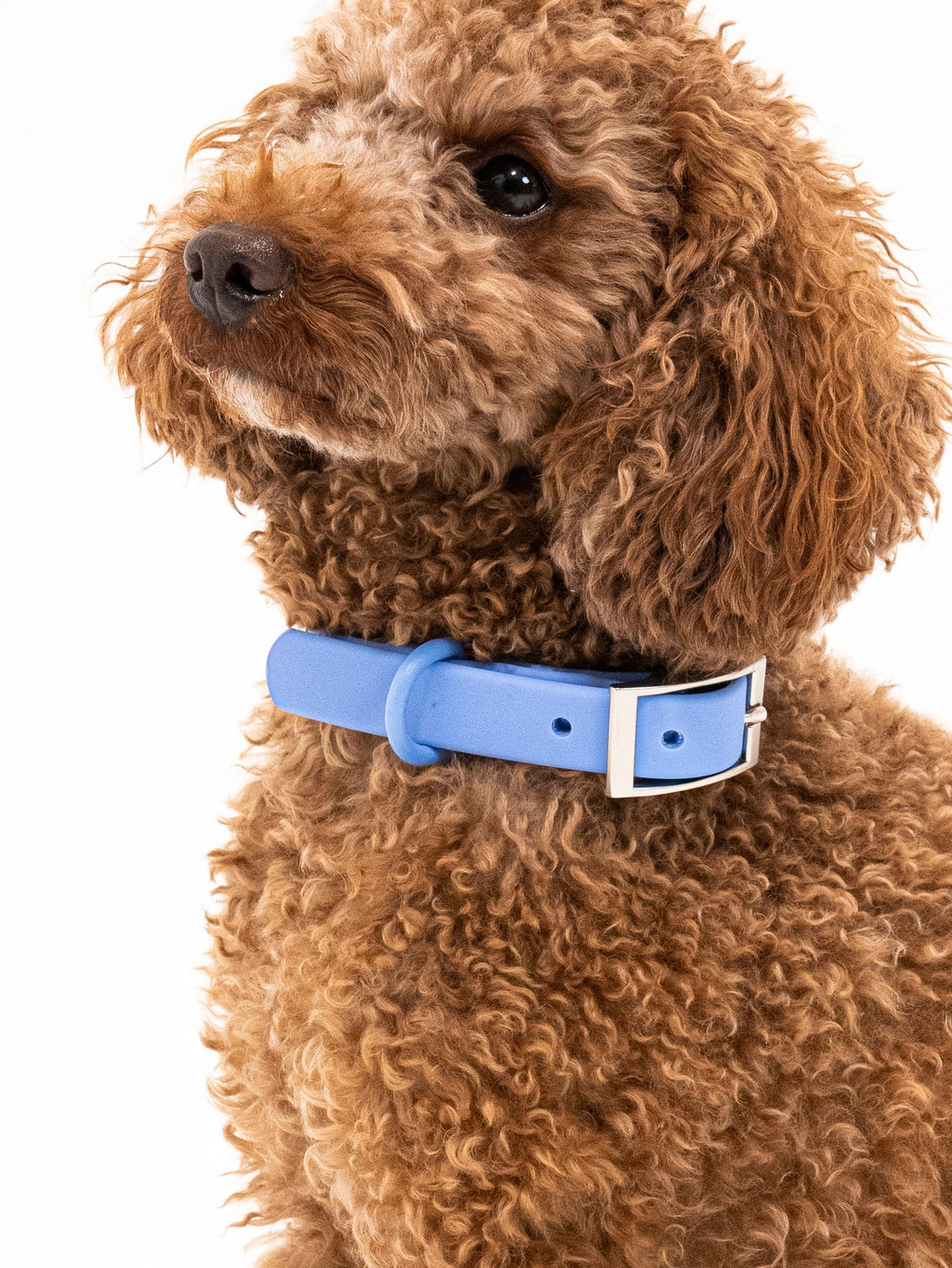 Nordwind Velvy Collar Set