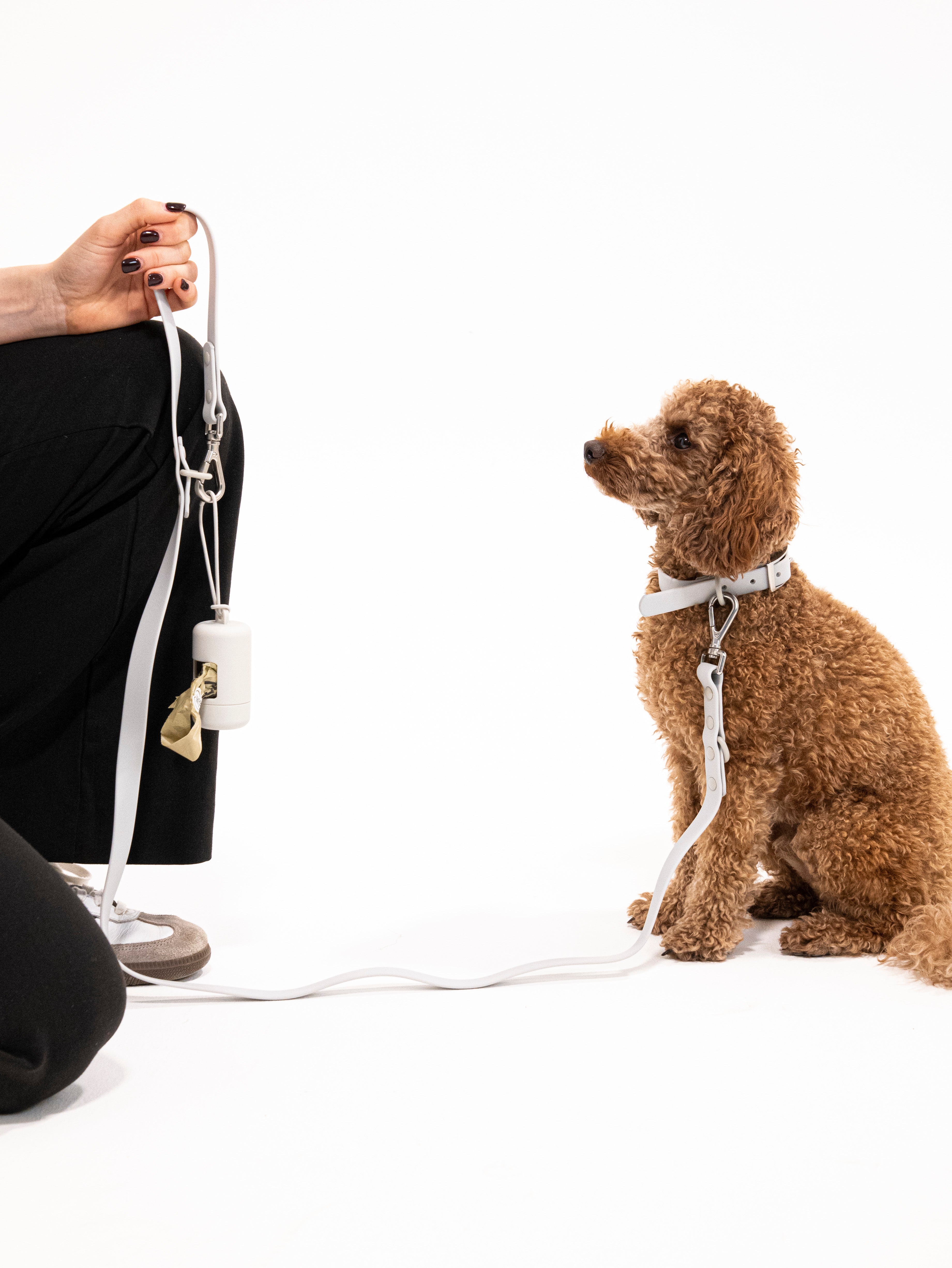 Graphit Velvy Dog Collar