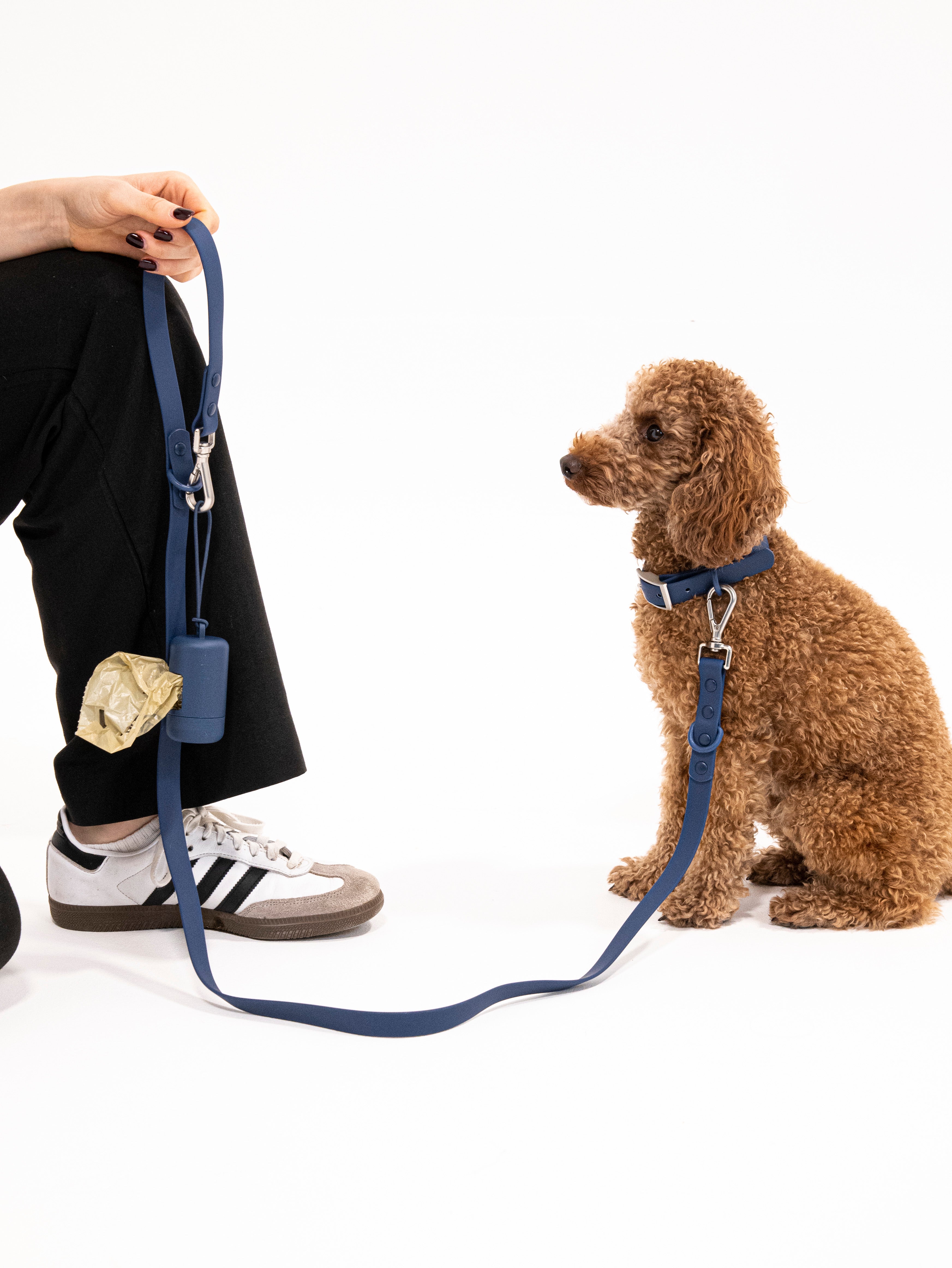 Navy Velvy Dog Leash