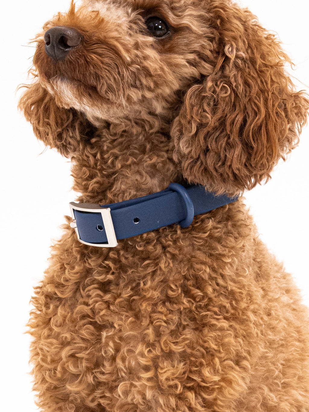 Navy Velvy Collar Set