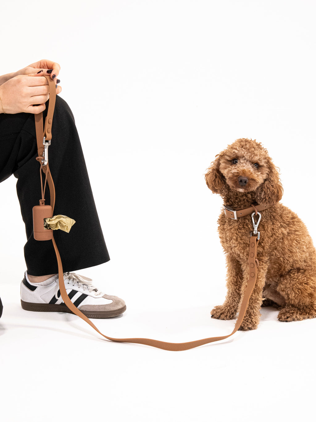Zimtpfote Velvy Dog Collar