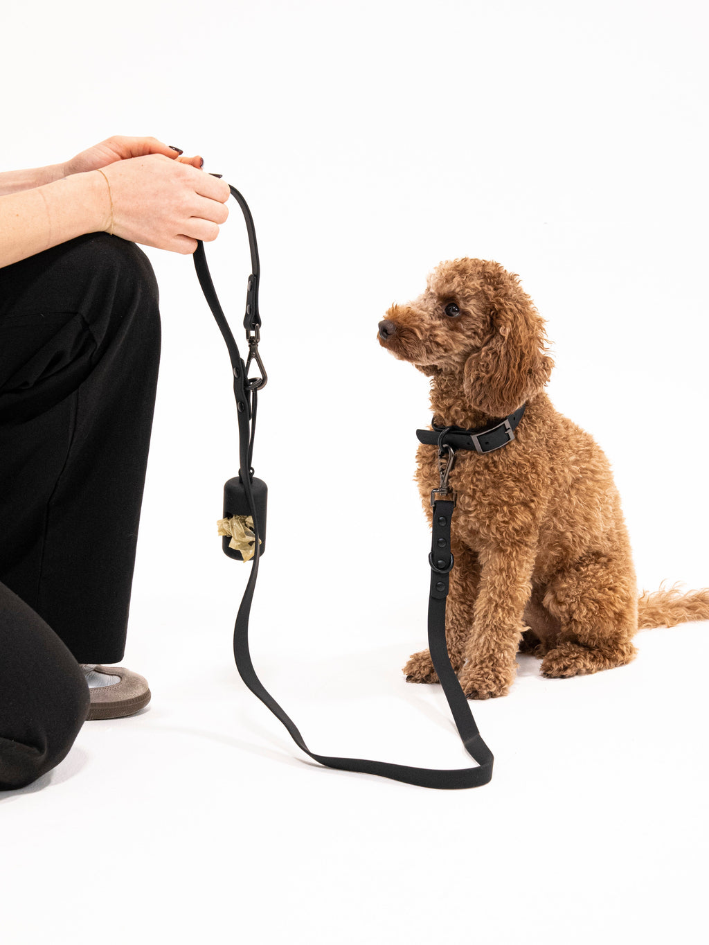 Midnight Velvy Dog Leash