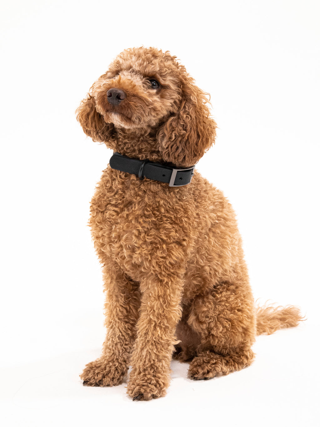 Midnight Velvy Collar Set