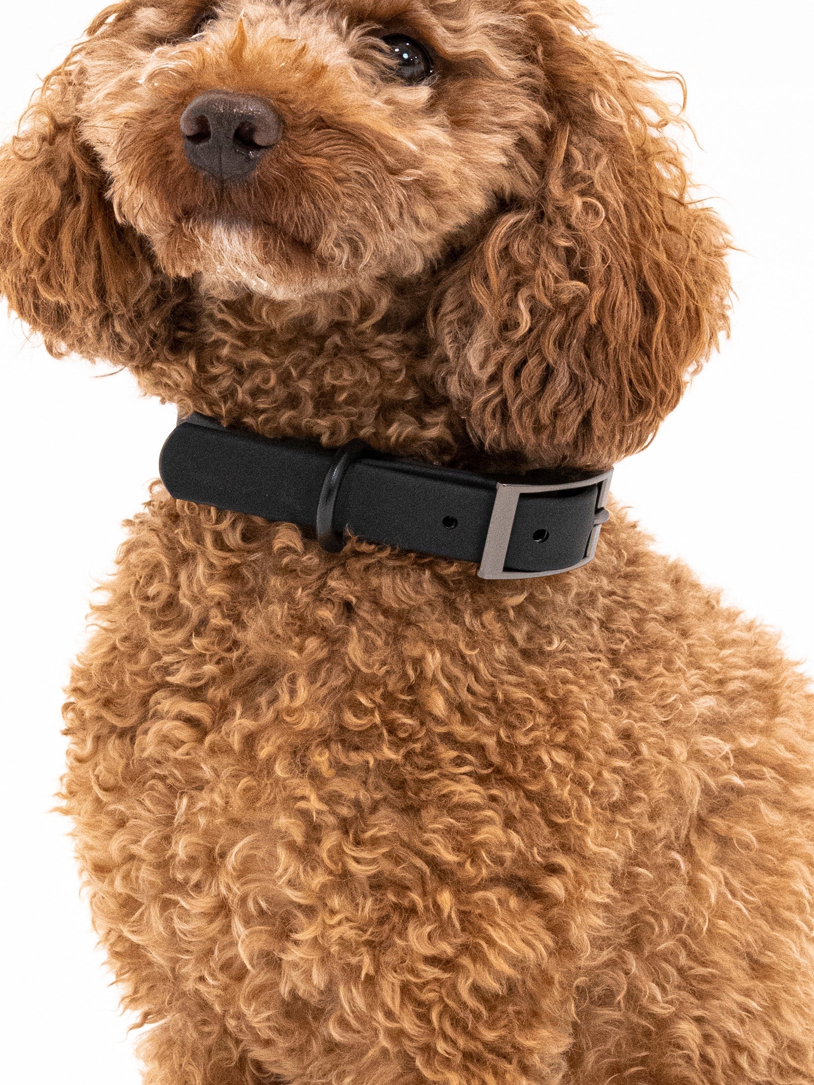 Midnight Velvy Collar Set